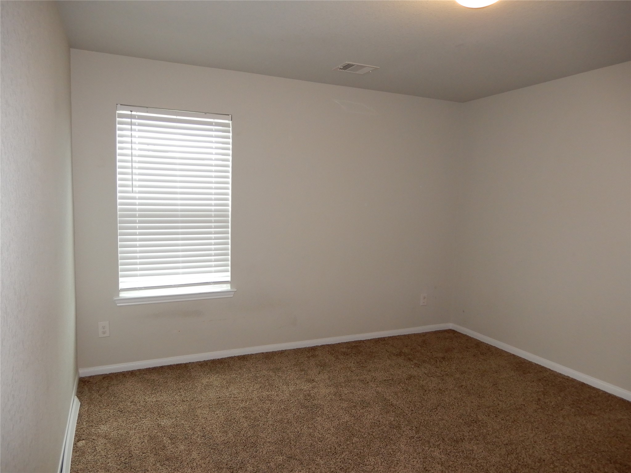 12258 Chestnut Clearing Trail Property Photo 16