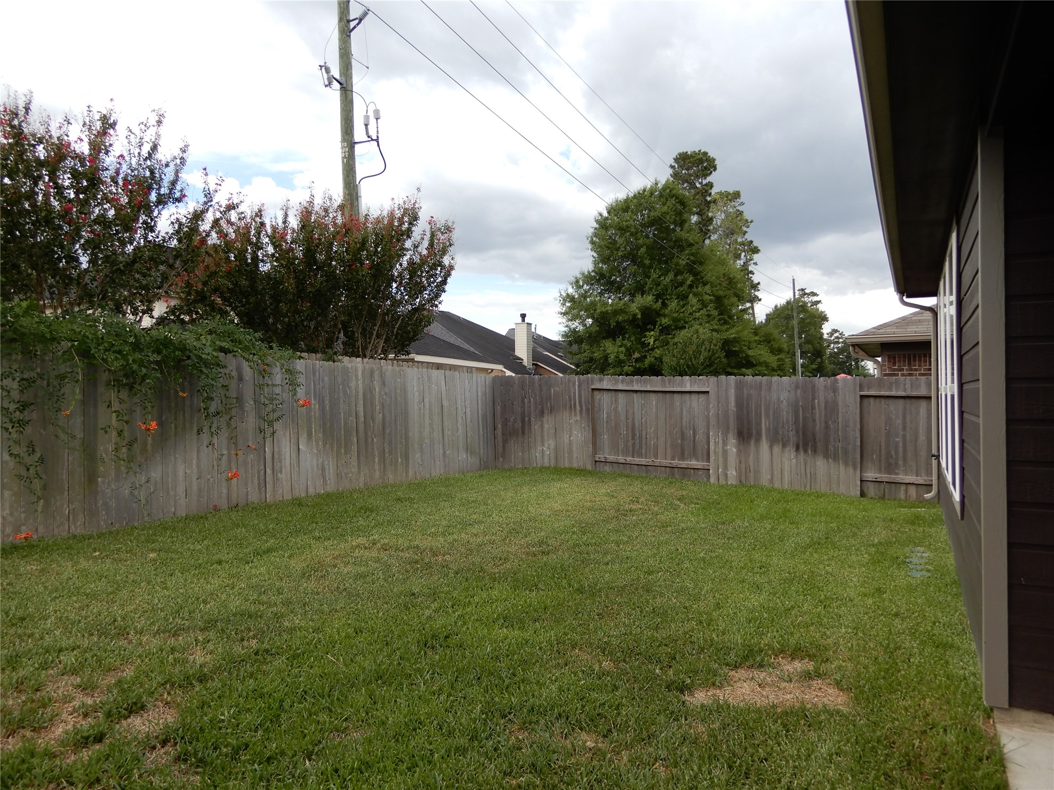 12258 Chestnut Clearing Trail Property Photo 21