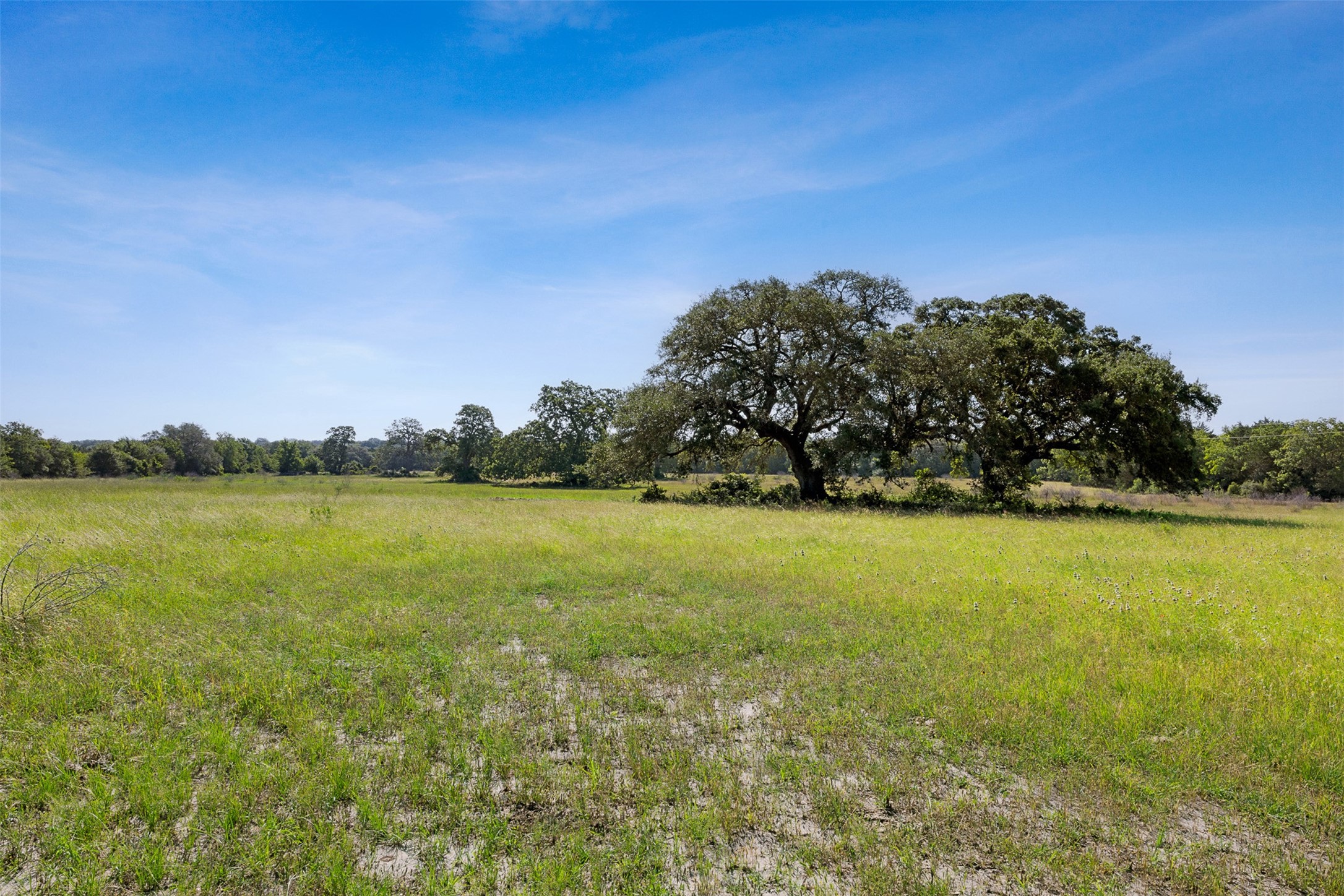 4431 Boulton Creek Rd Property Photo 1