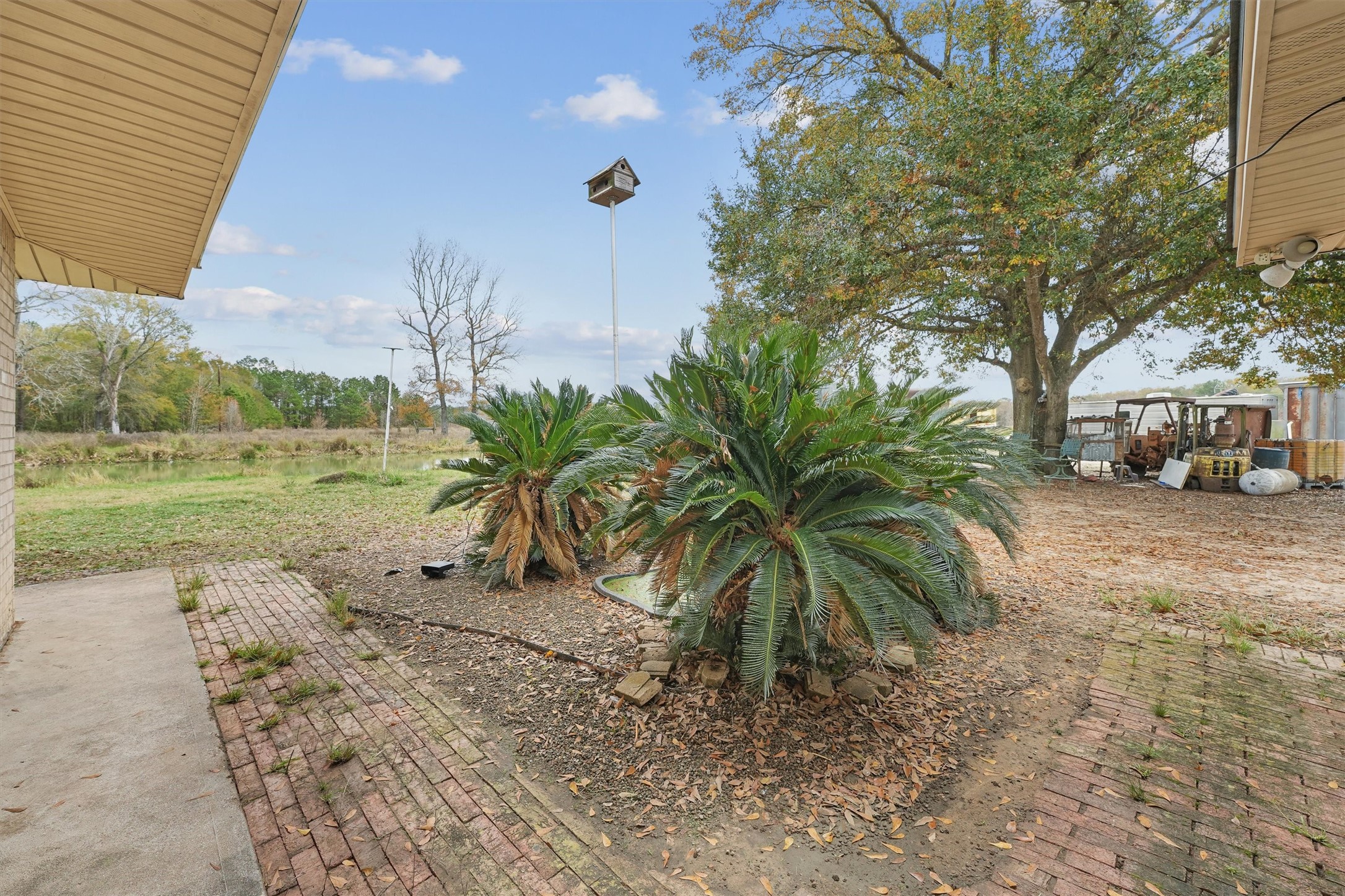 850 County Road 2145 Property Photo 41