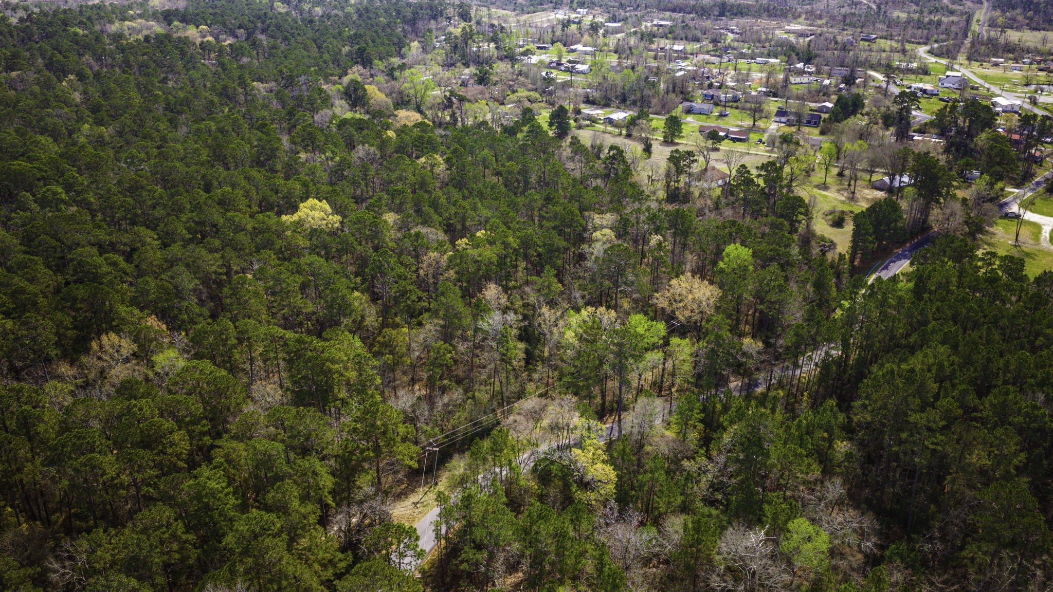 Tbd Tract 2 Triple Creek Loop Property Photo 32