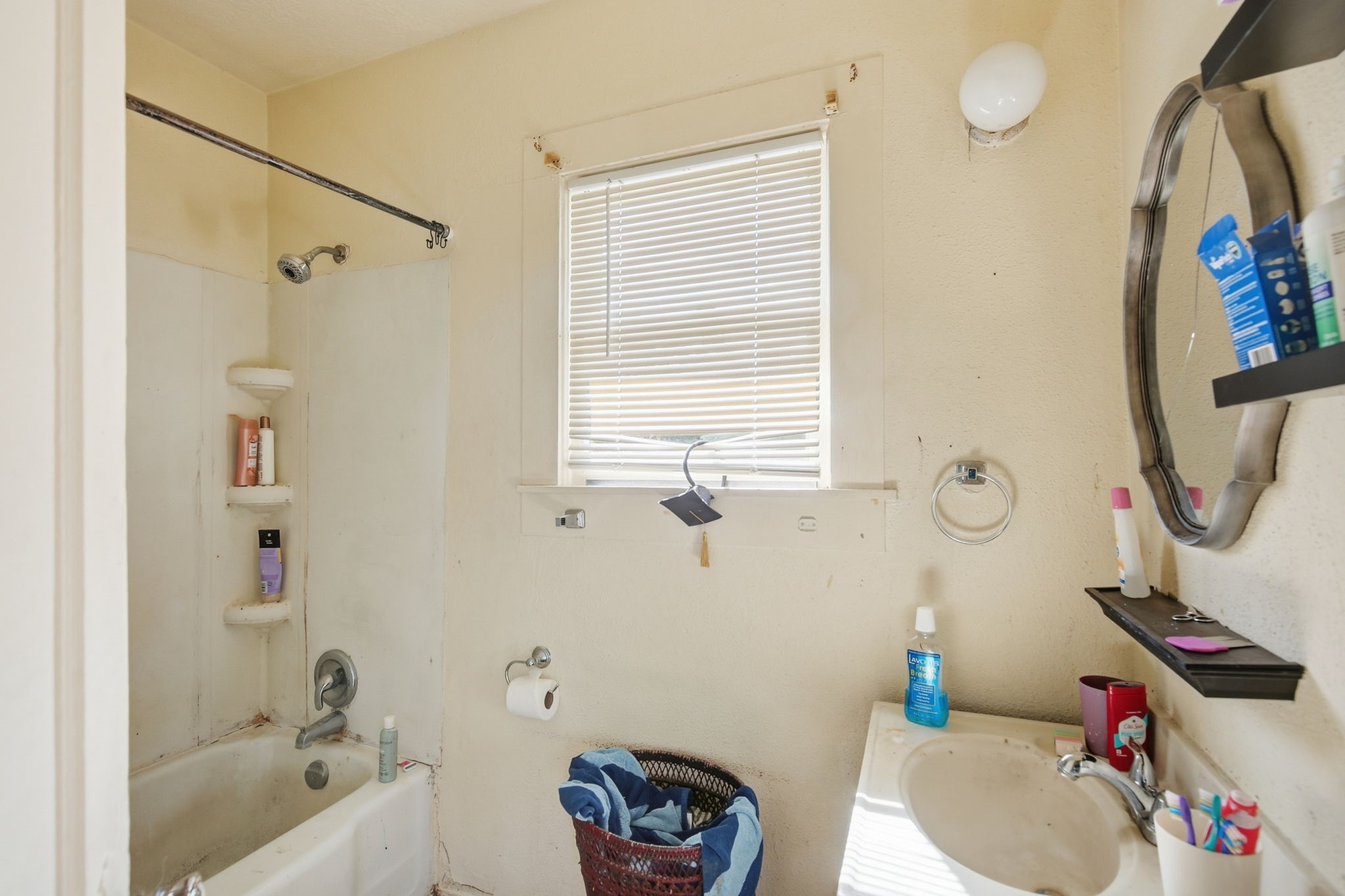 2313 Avenue L Property Photo 41