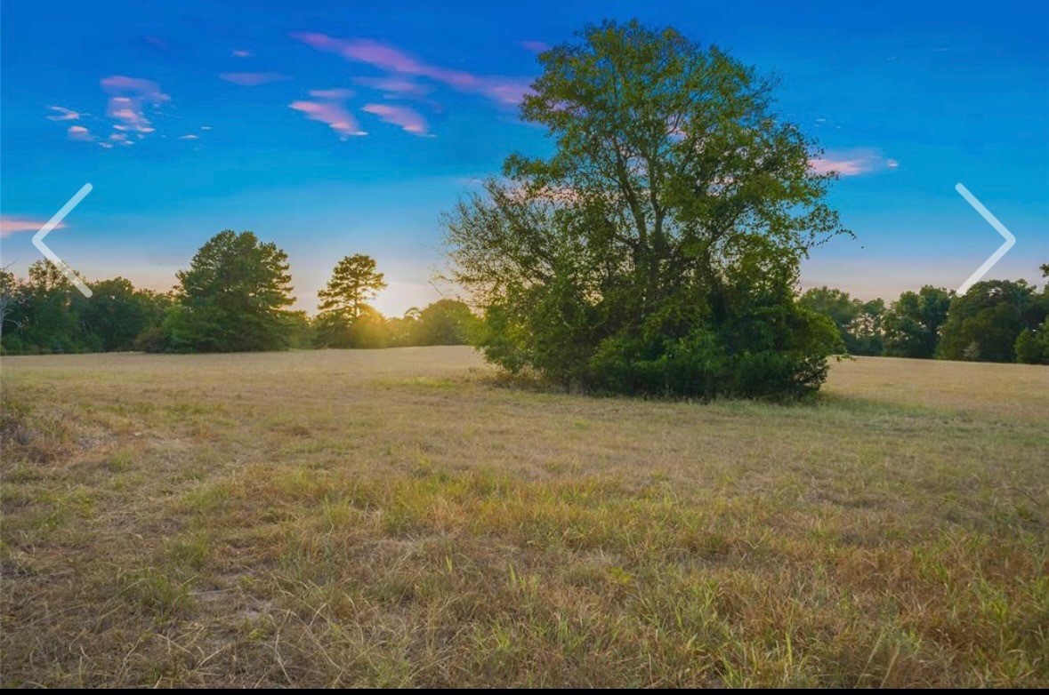 11755 State Highway 21 E Property Photo 40