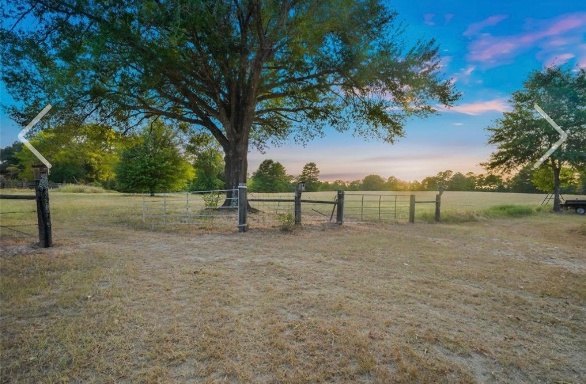 11755 State Highway 21 E Property Photo 43