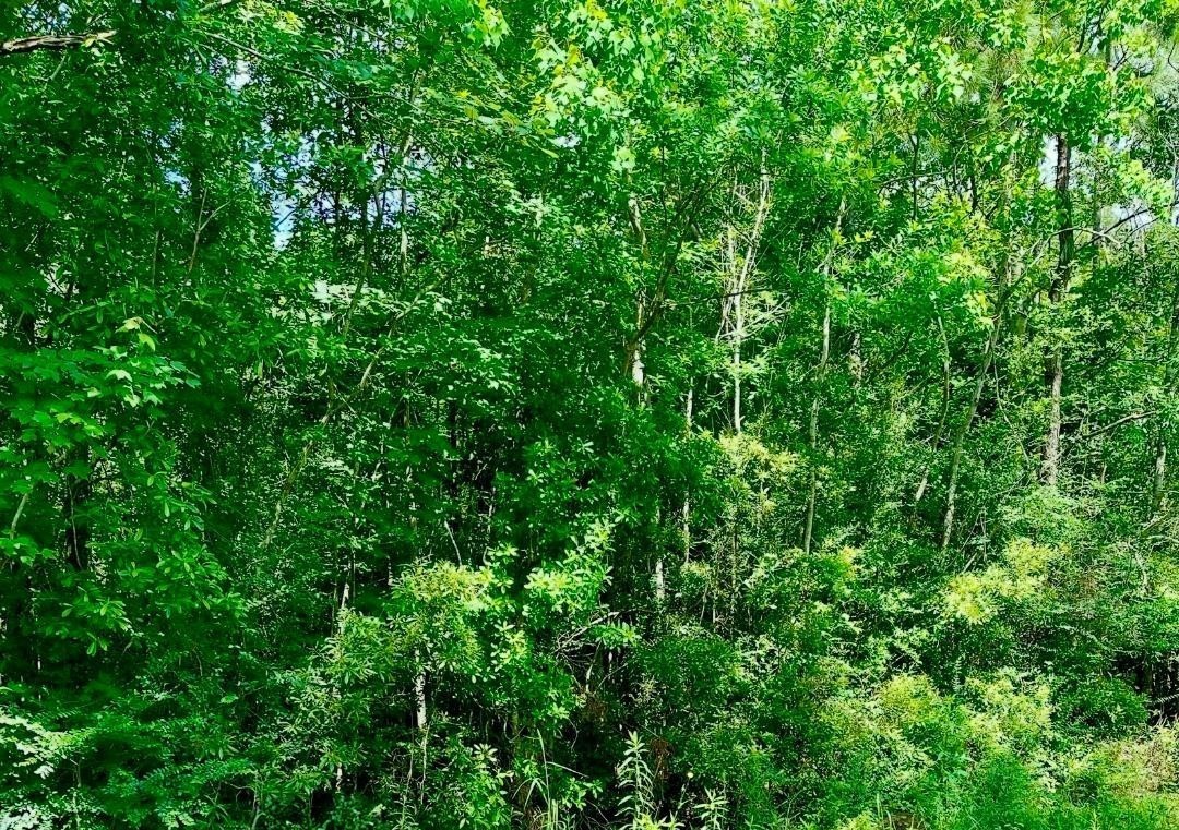 0 Ferito Property Photo 1