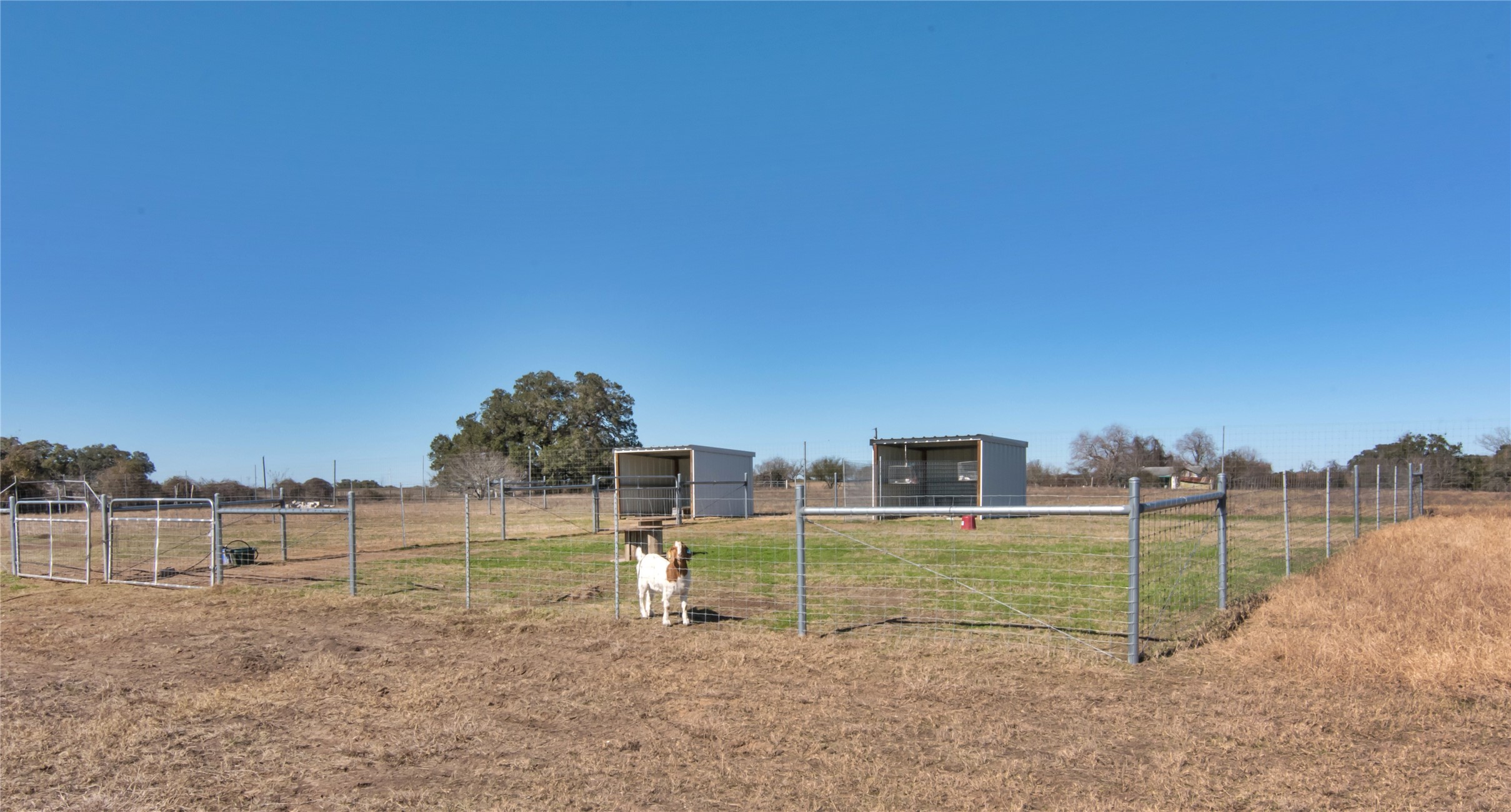 2122 County Road 324 Property Photo 22