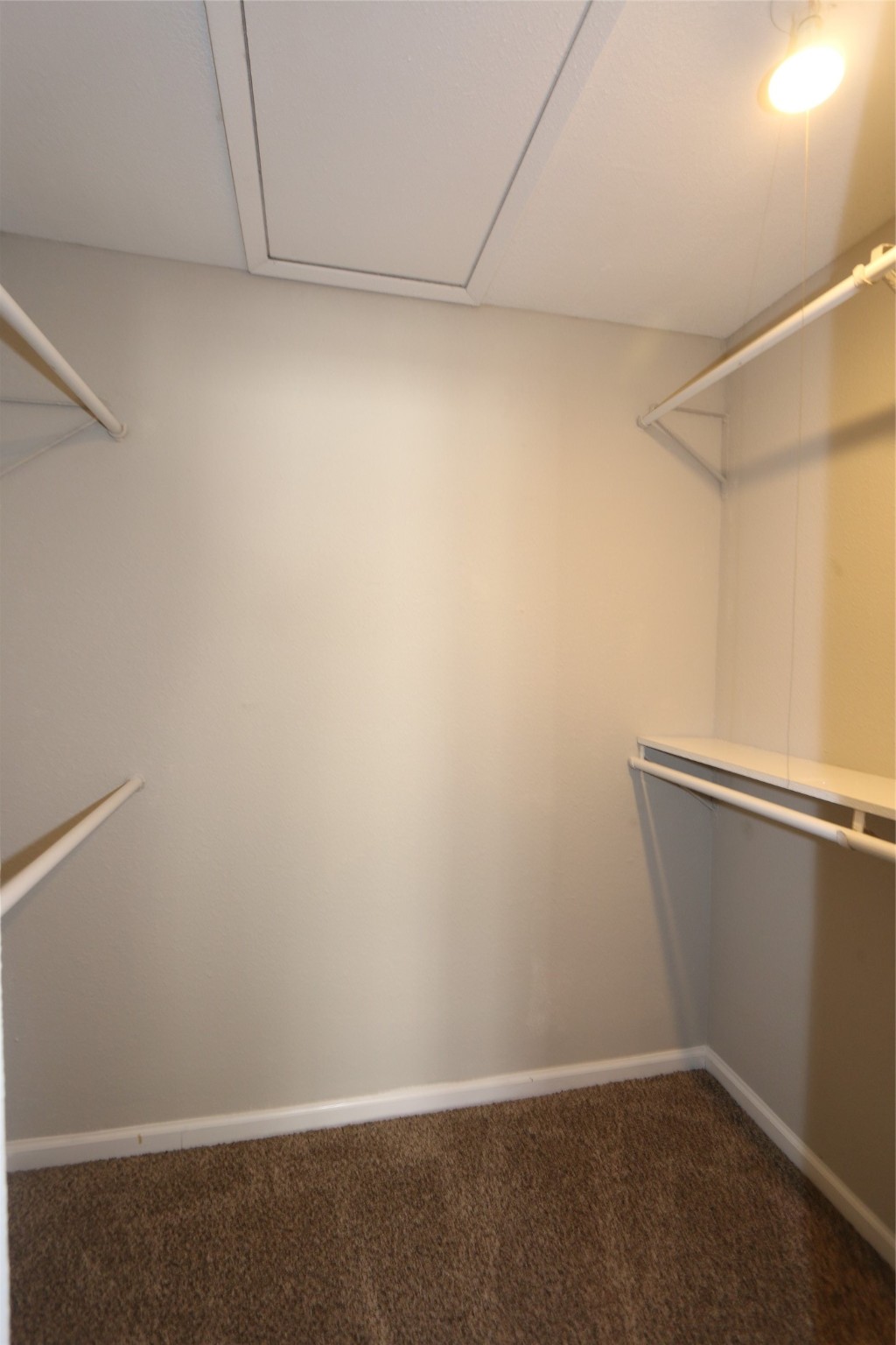 9556 Windswept Lane 9556 Property Photo 8