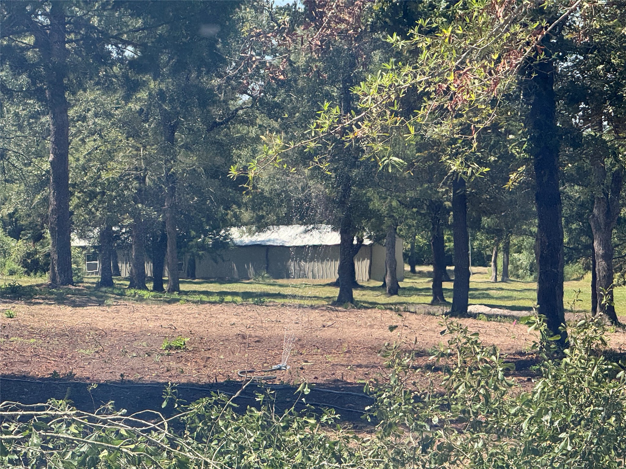 11428 Debbie Lane Property Photo 4