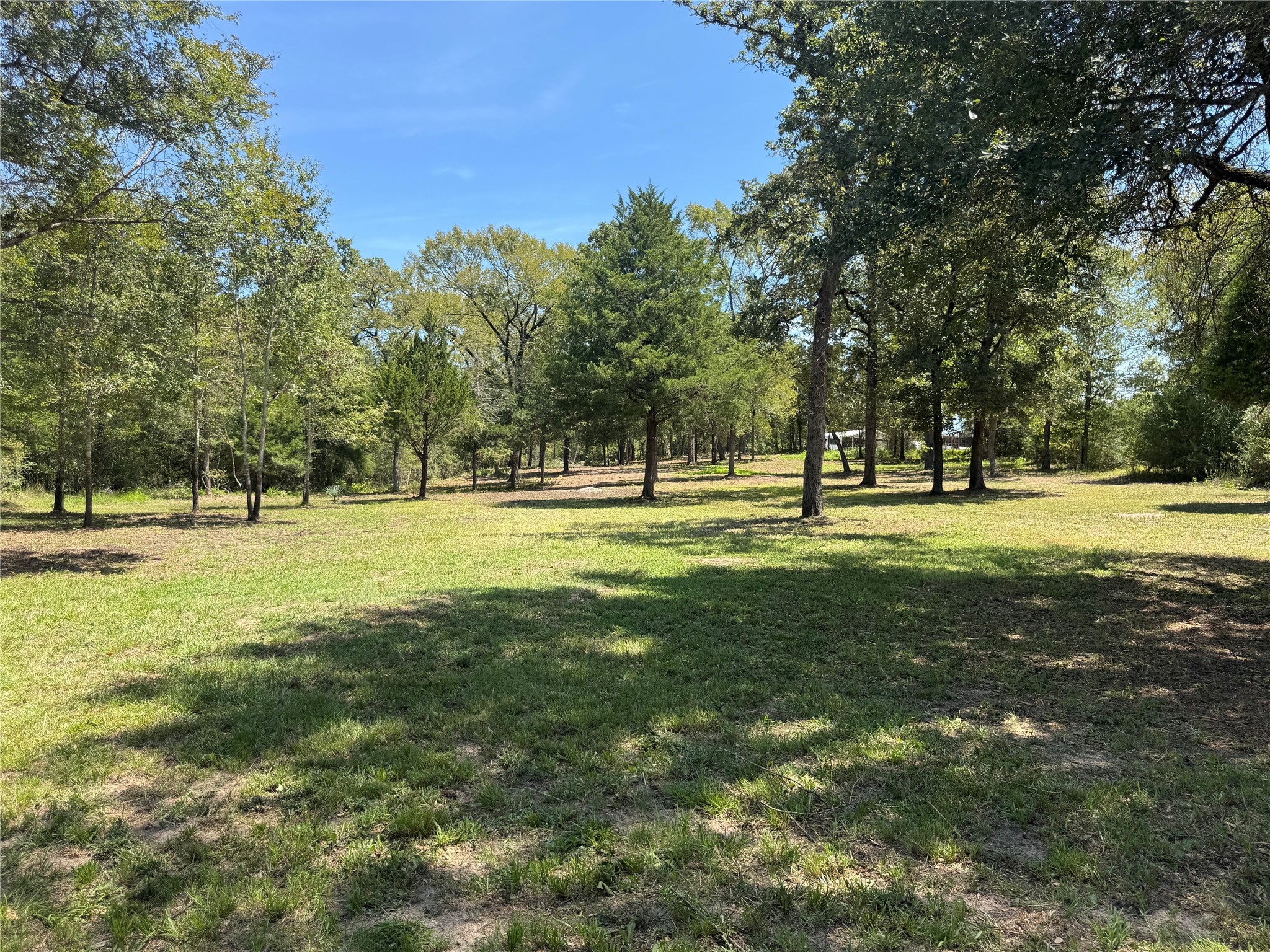 11428 Debbie Lane Property Photo 5