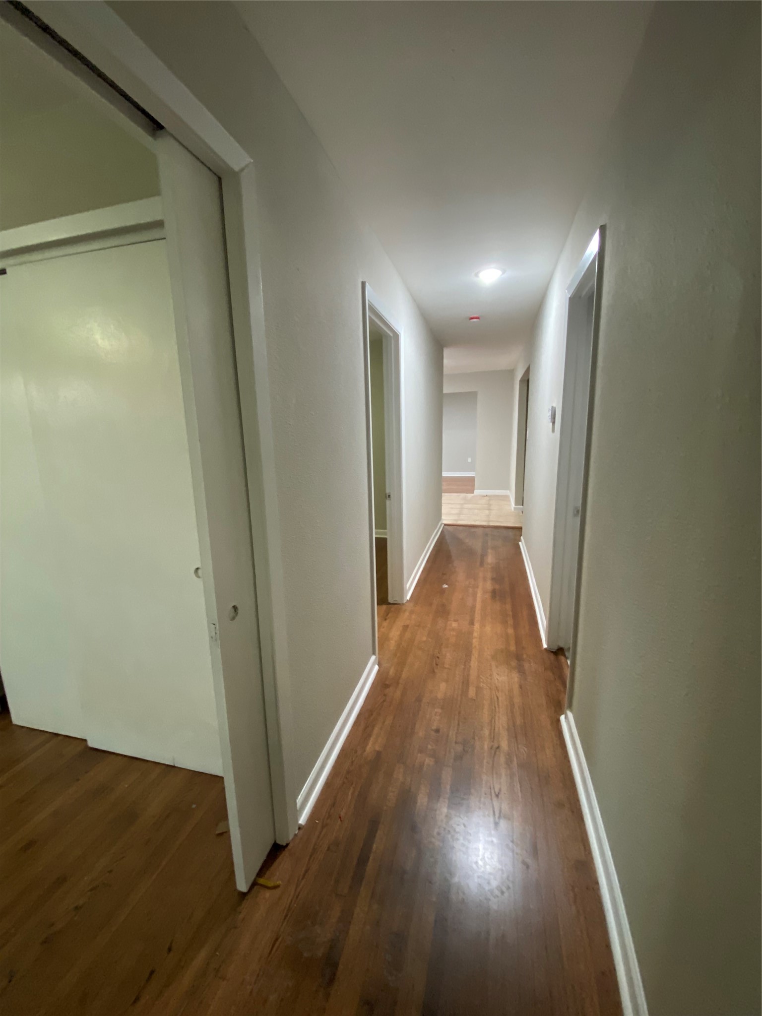 1105 Alice Street Property Photo 7