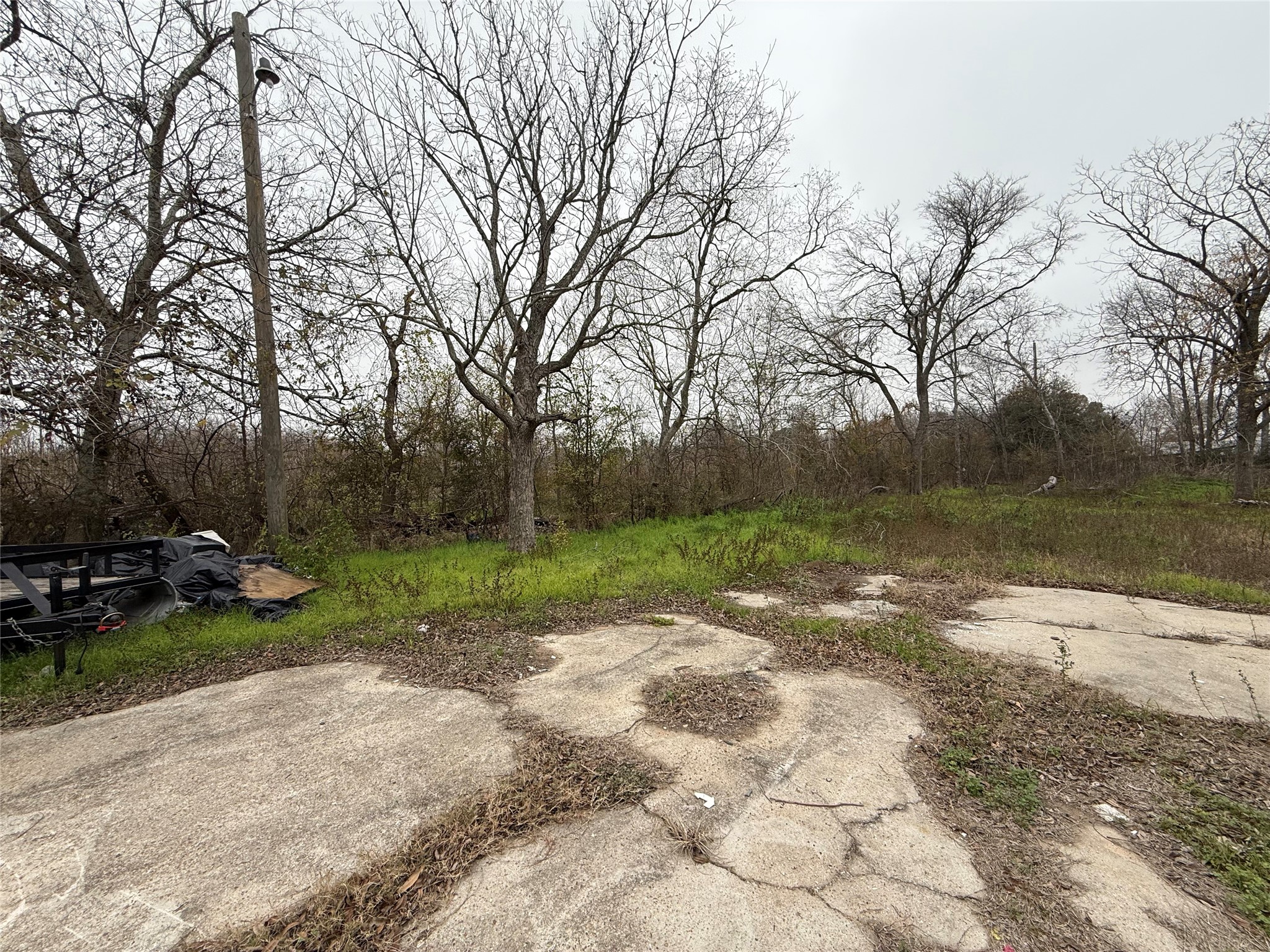 509 Solomon Property Photo 4