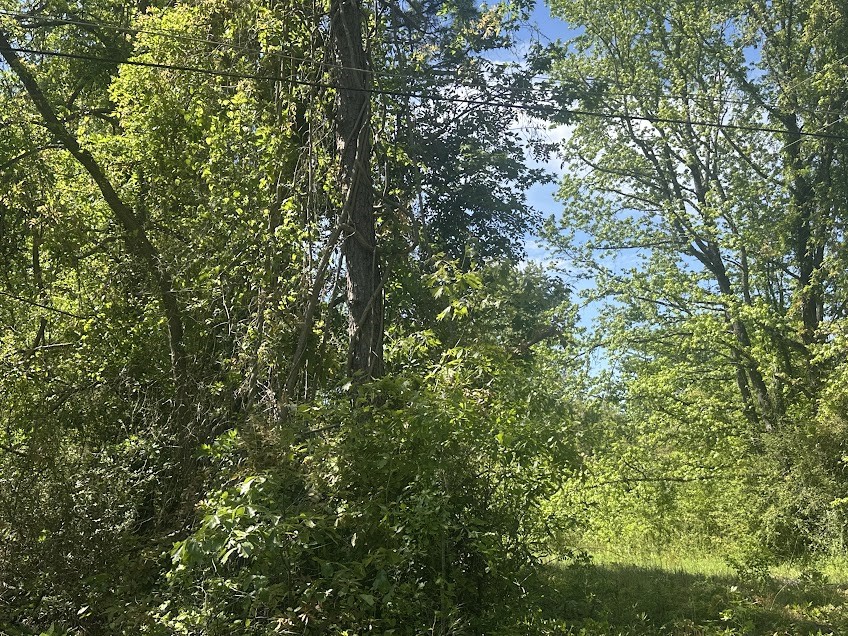 0 Pearson Street Property Photo 1