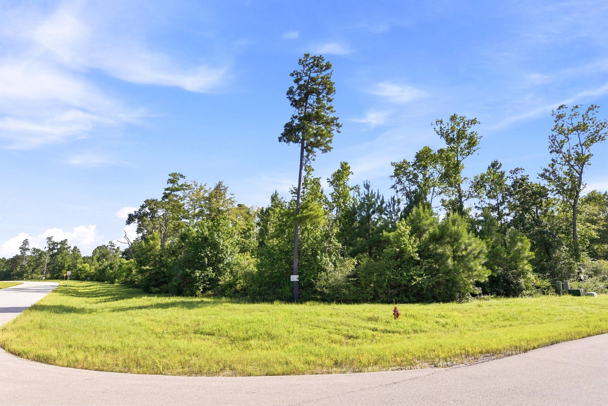 300 Iron Horse Road Property Photo 3