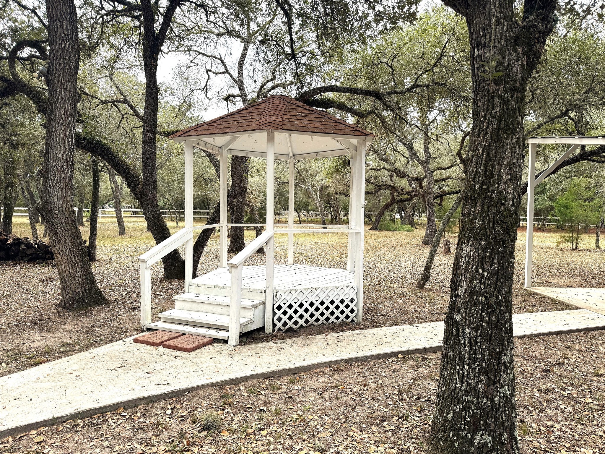 302 Bluebonnet Bend Property Photo 33