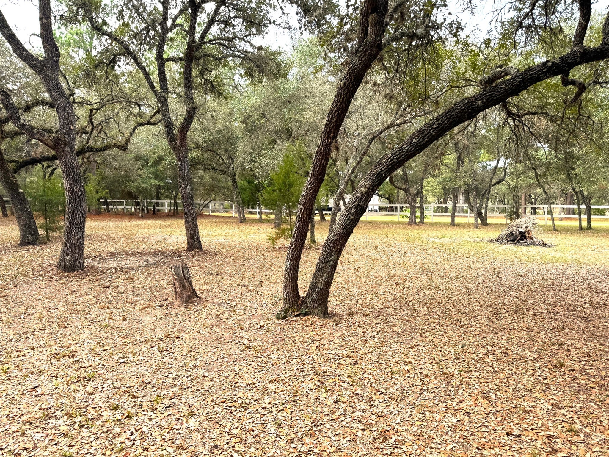 302 Bluebonnet Bend Property Photo 38