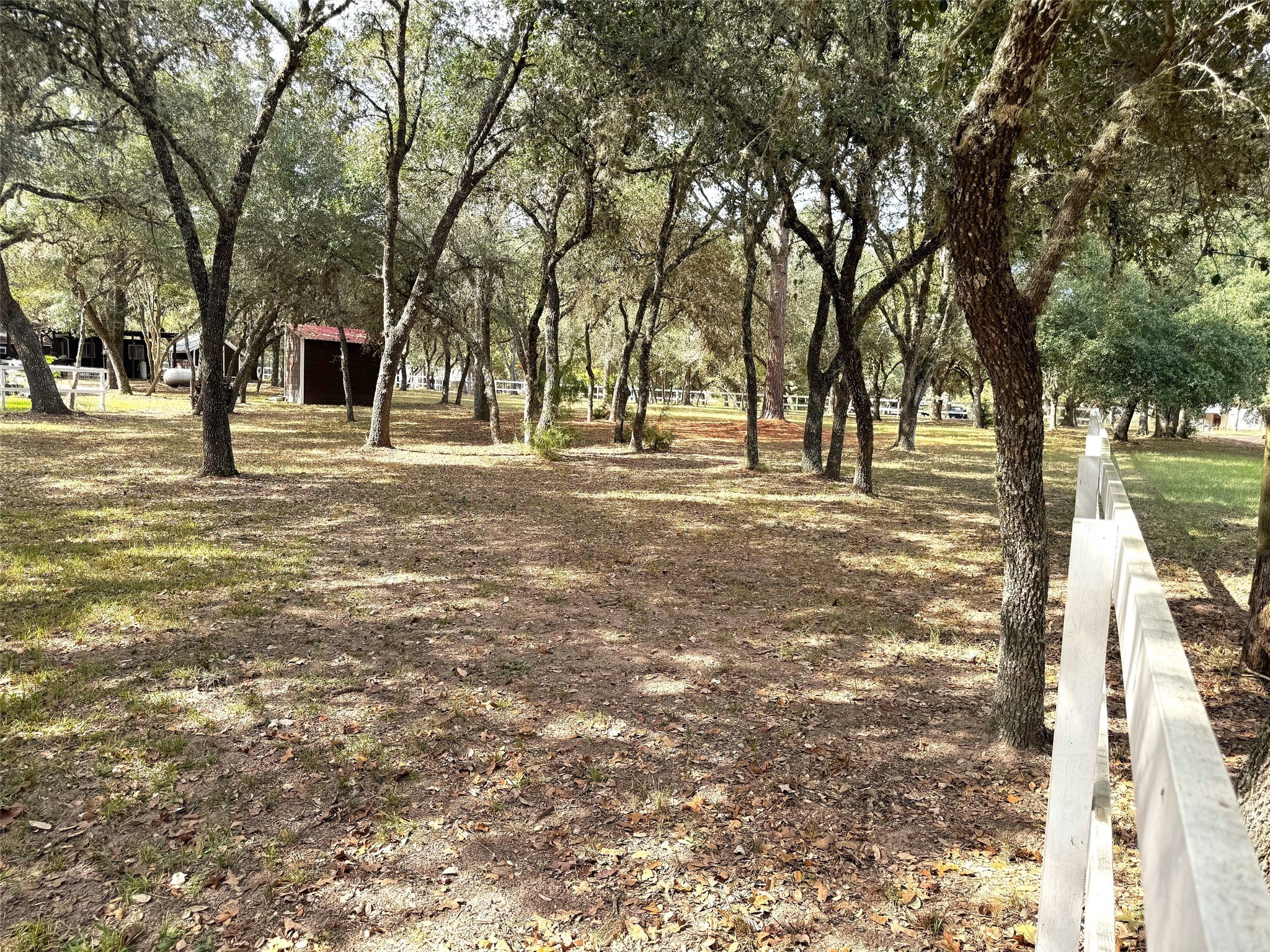 302 Bluebonnet Bend Property Photo 39