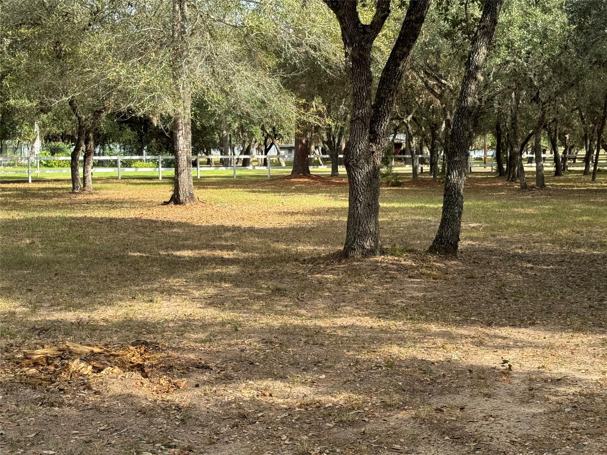 302 Bluebonnet Bend Property Photo 41