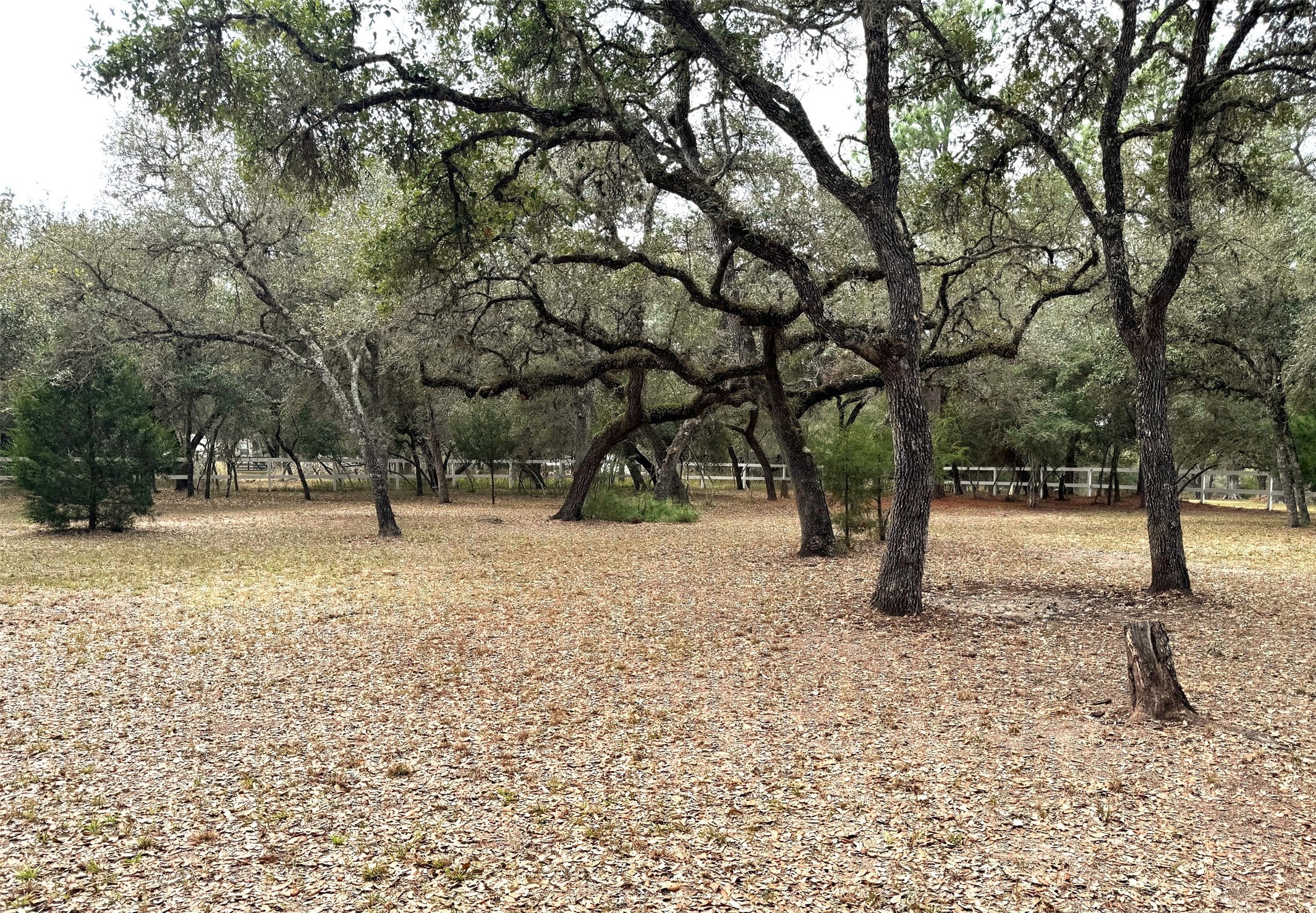 302 Bluebonnet Bend Property Photo 42