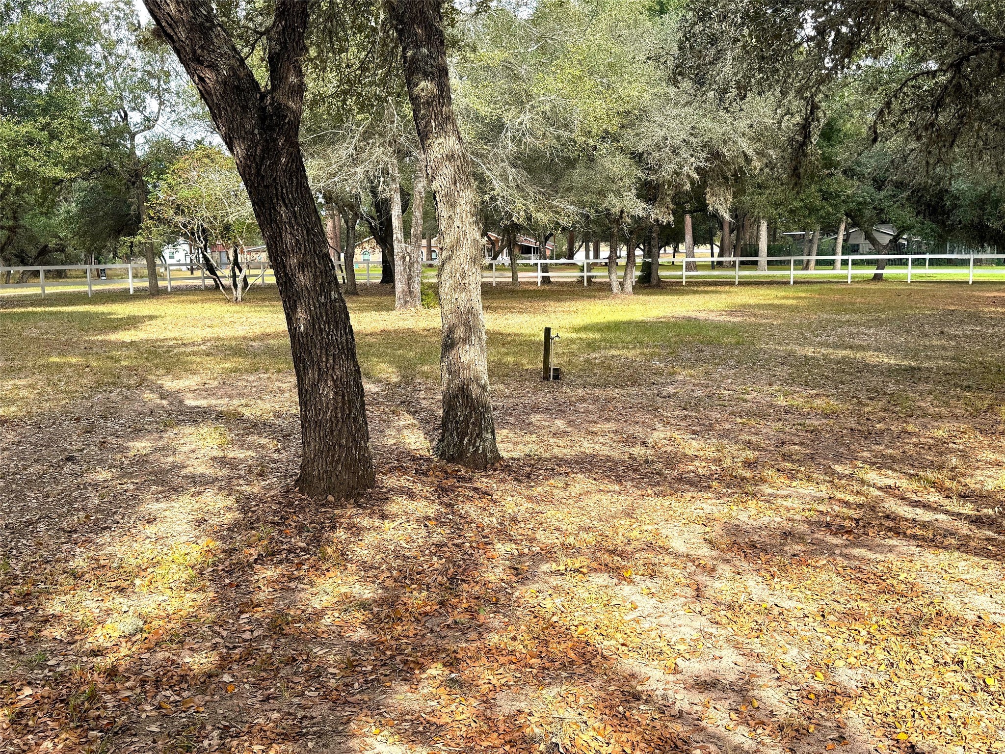 302 Bluebonnet Bend Property Photo 43