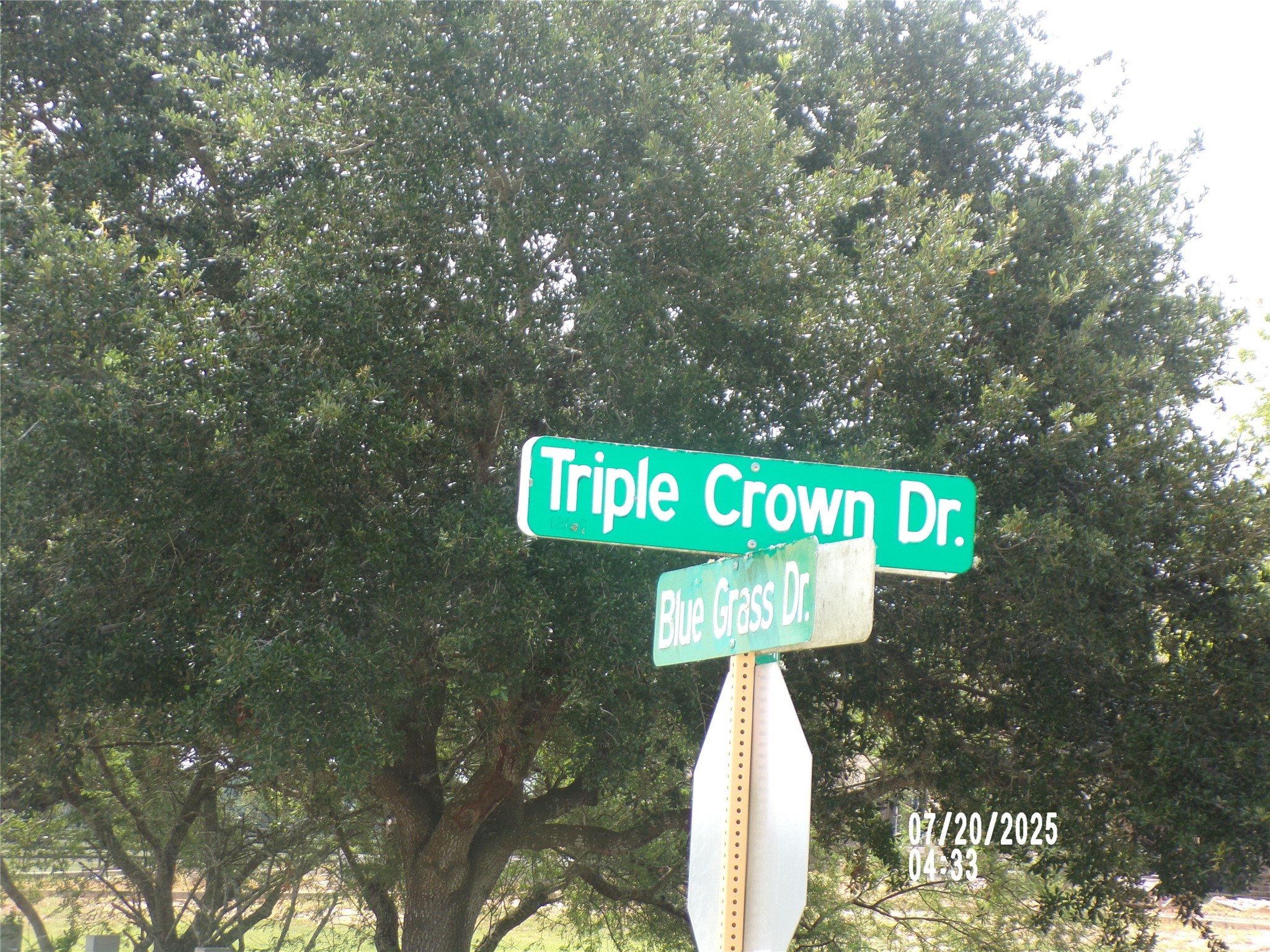 3232 Triple Crown Drive Property Photo 1