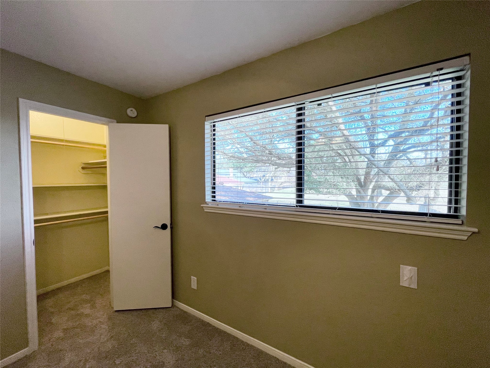 15006 Elmont Drive Property Photo 37