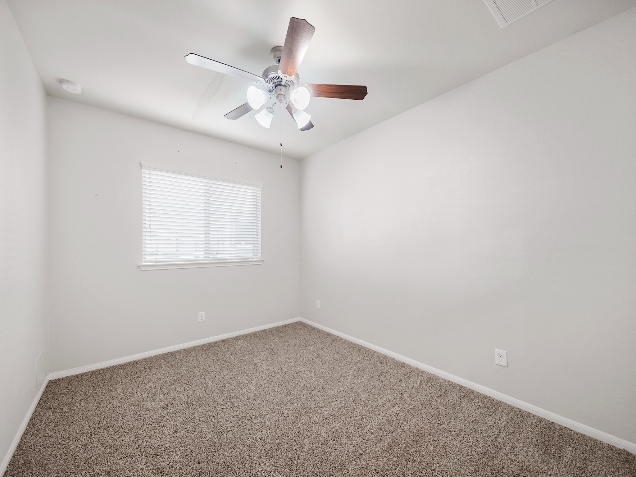 20223 Weeping Pine Way Property Photo 15
