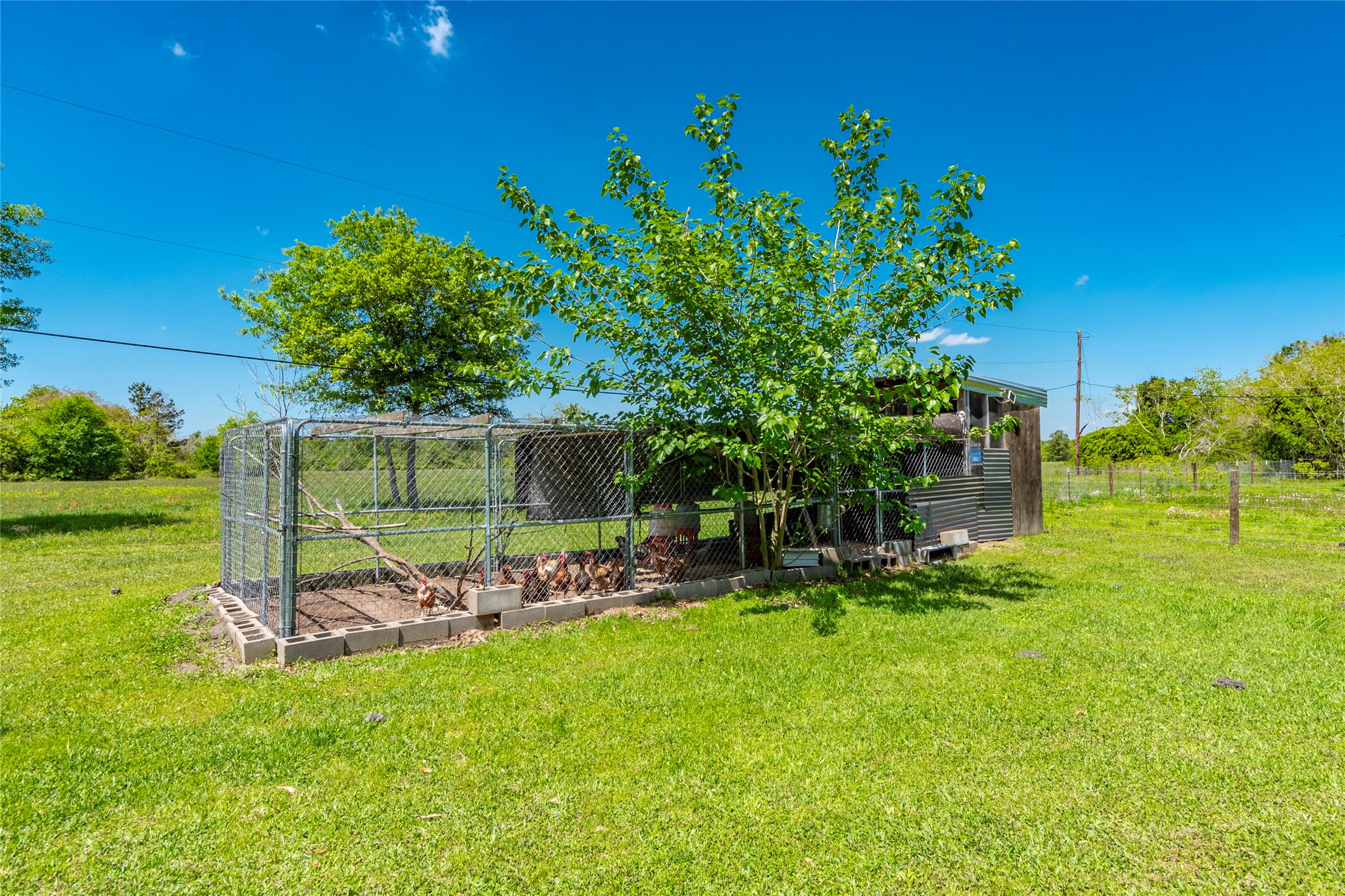 5383 Wilson Avenue Property Photo 30