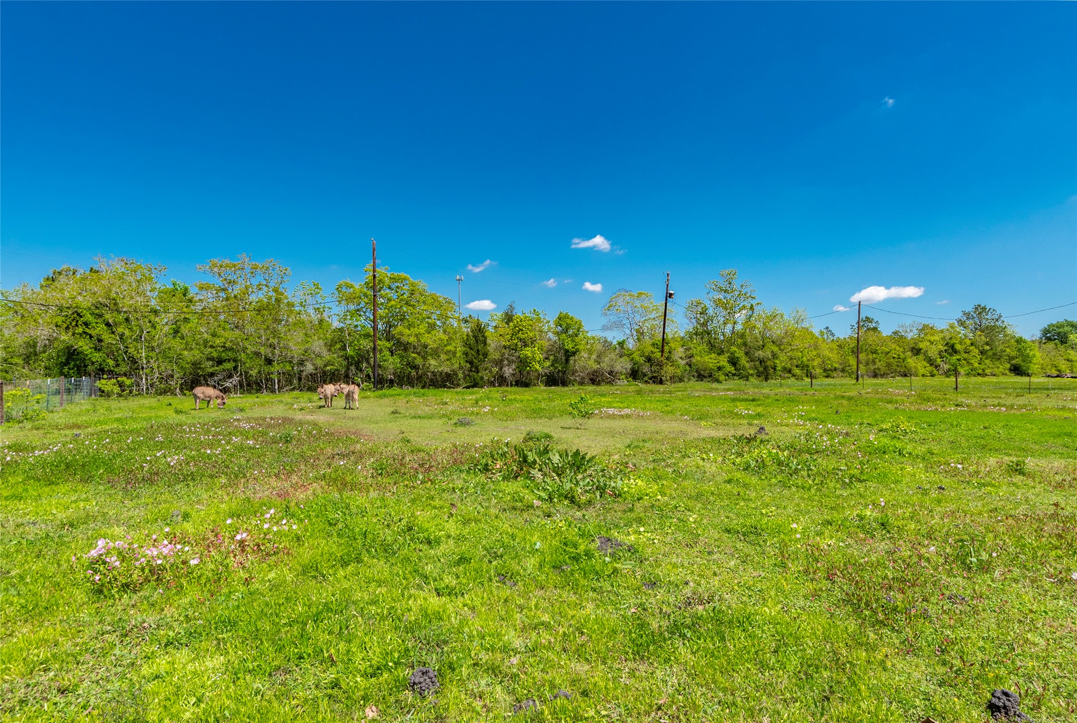 5383 Wilson Avenue Property Photo 33