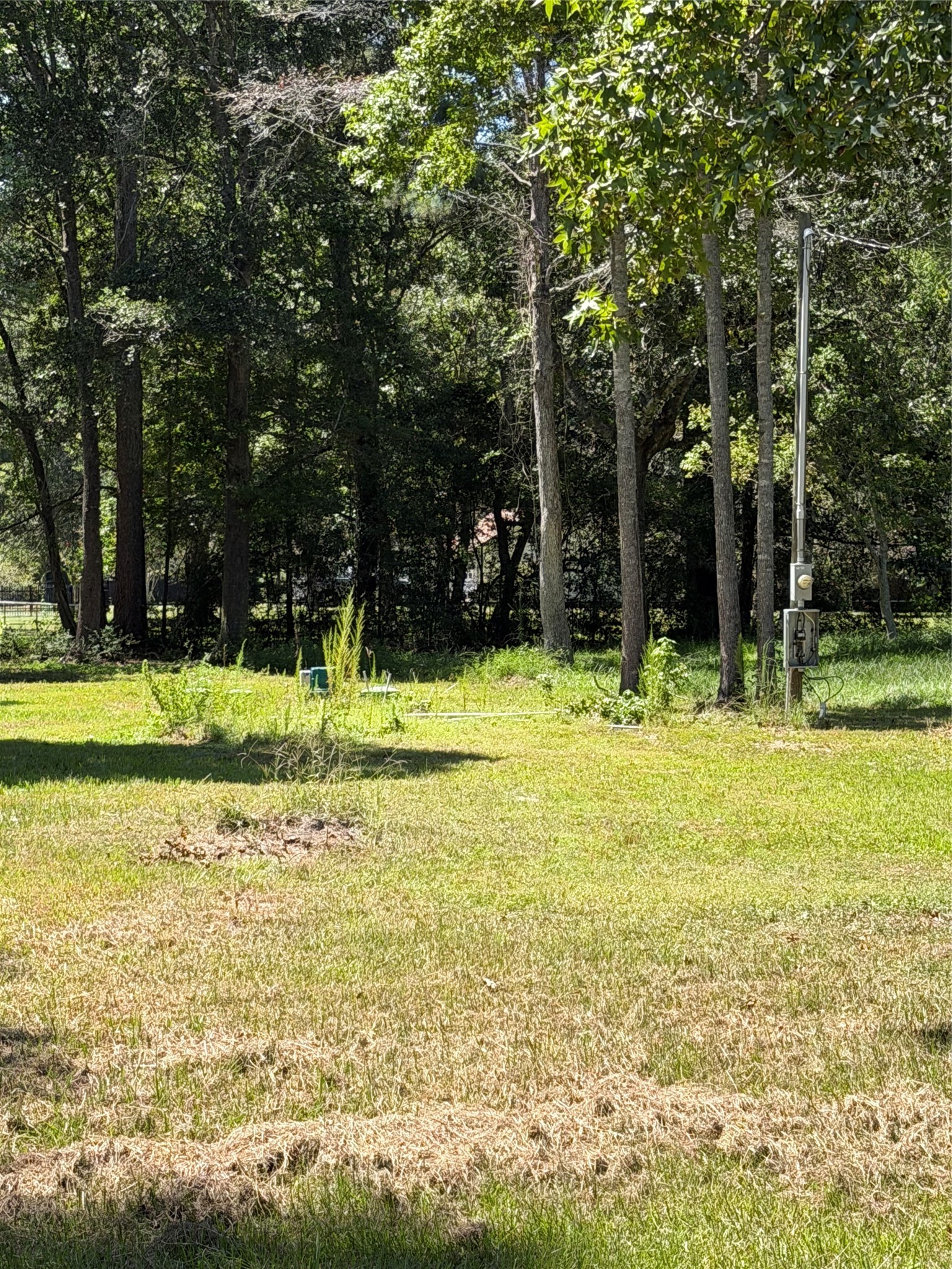 140 Pine Burr Court Property Photo 3