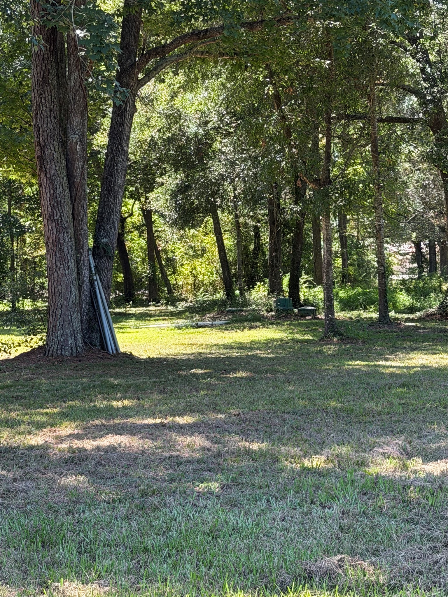 140 Pine Burr Court Property Photo 4
