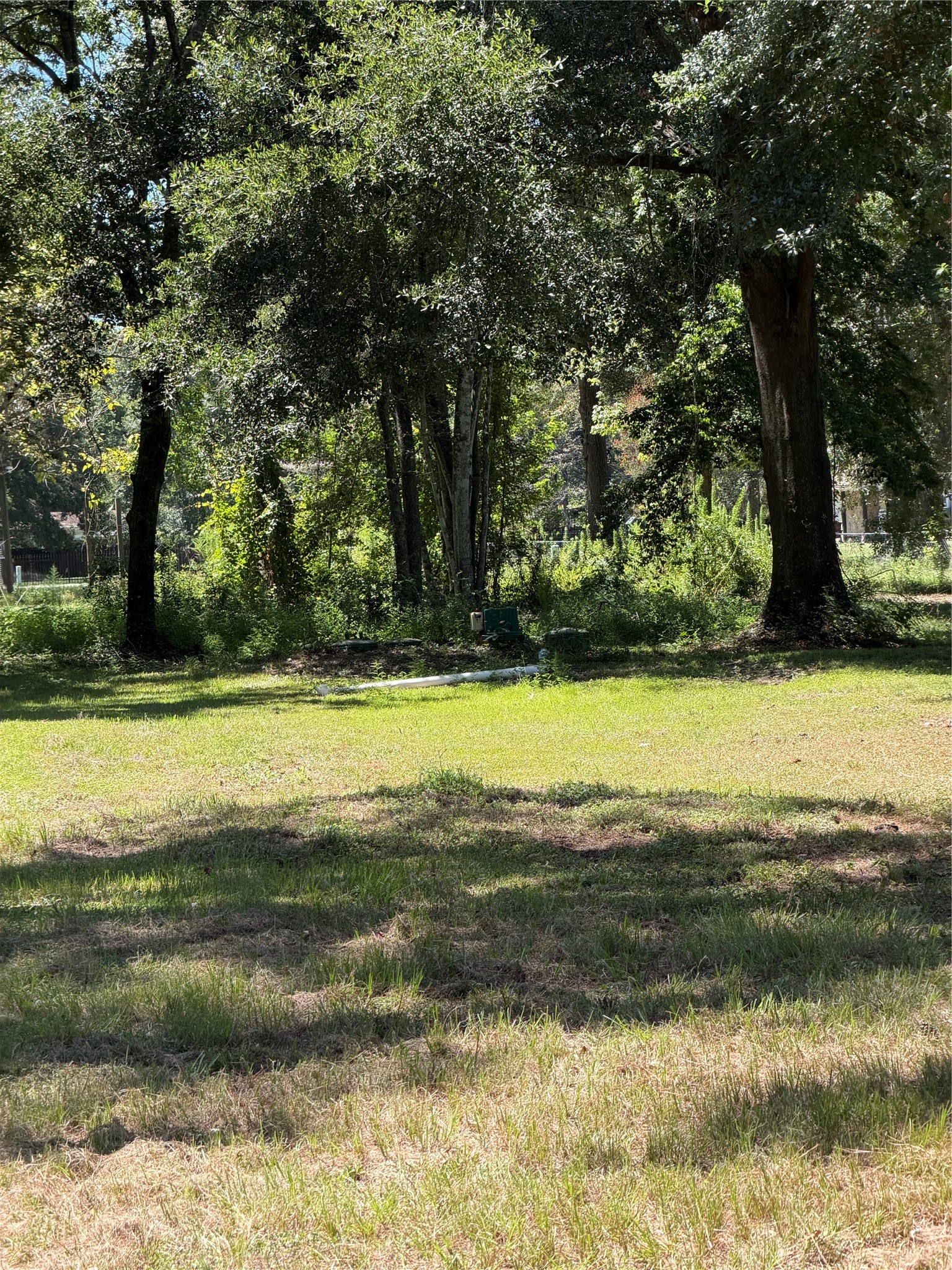 140 Pine Burr Court Property Photo 6