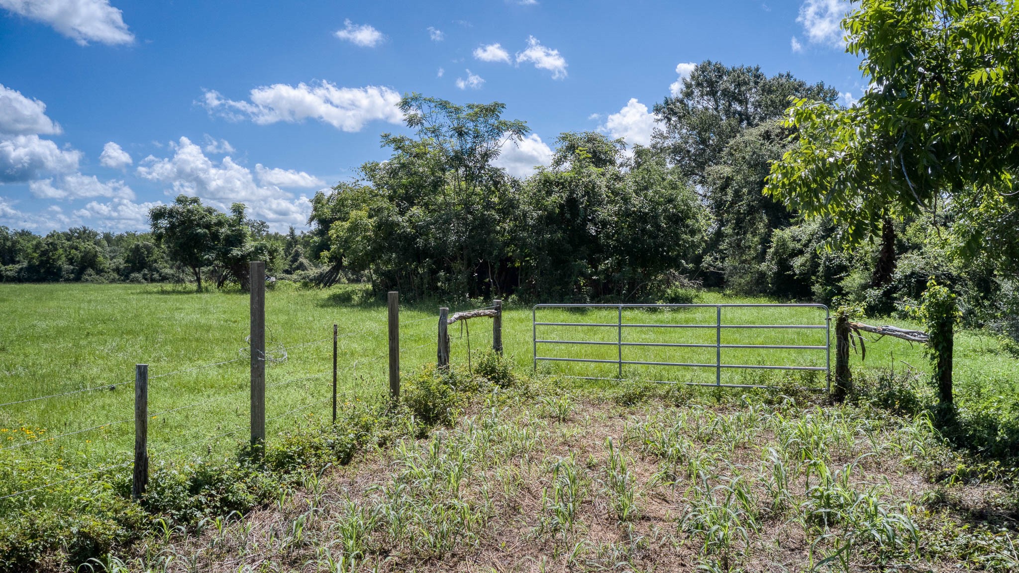 Tbd Holik Road Property Photo 19