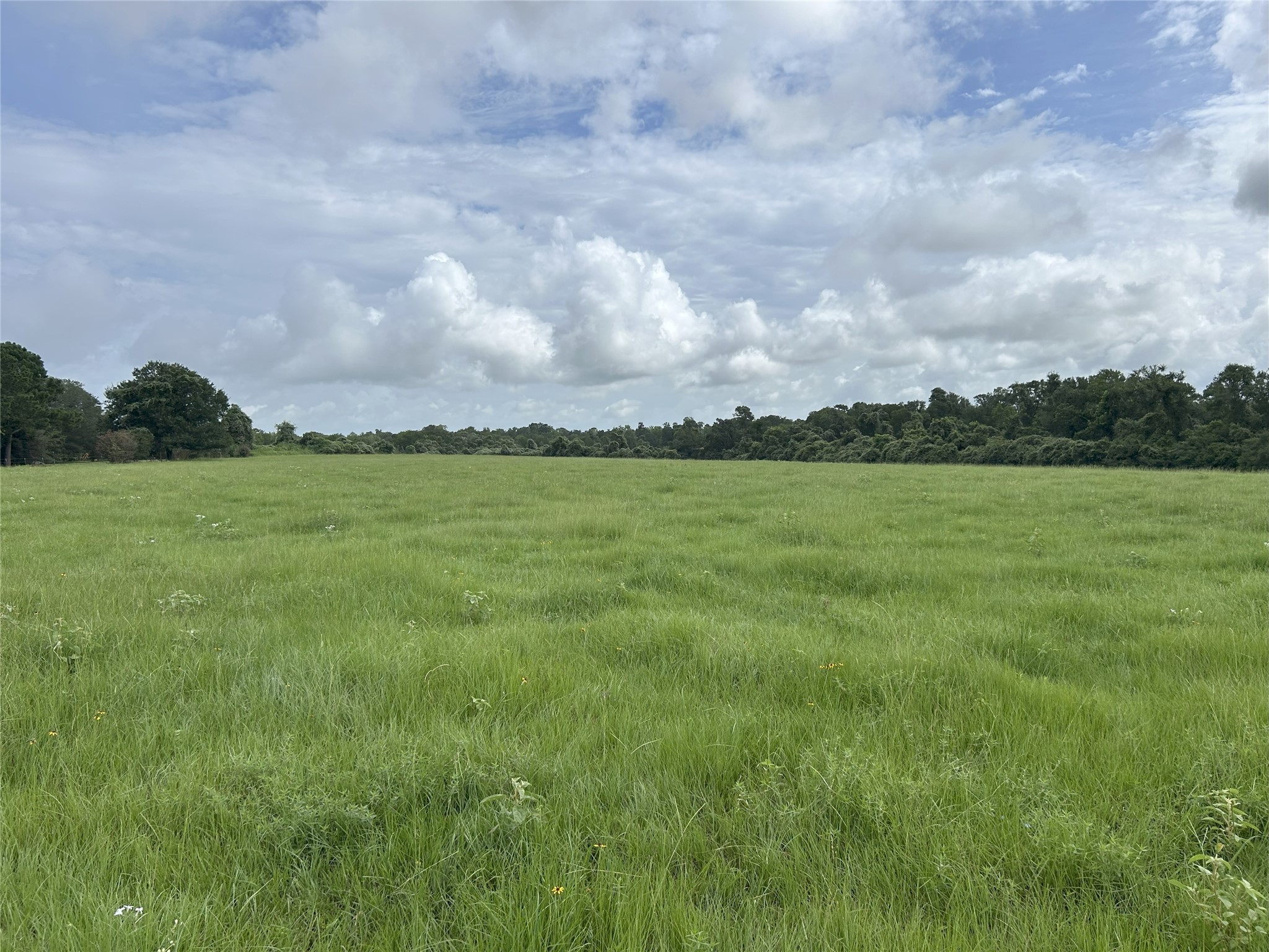 Tbd Holik Road Property Photo 21