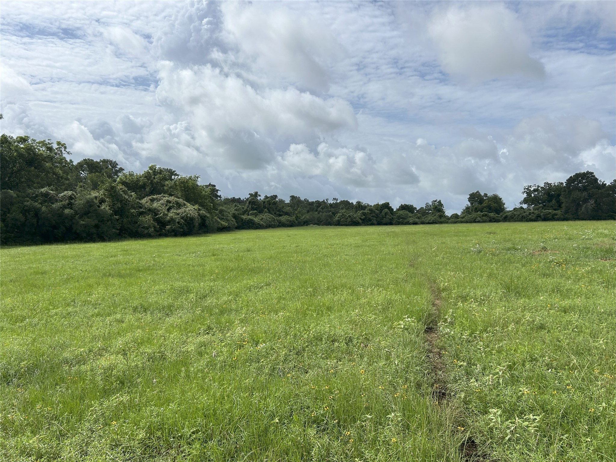 Tbd Holik Road Property Photo 22