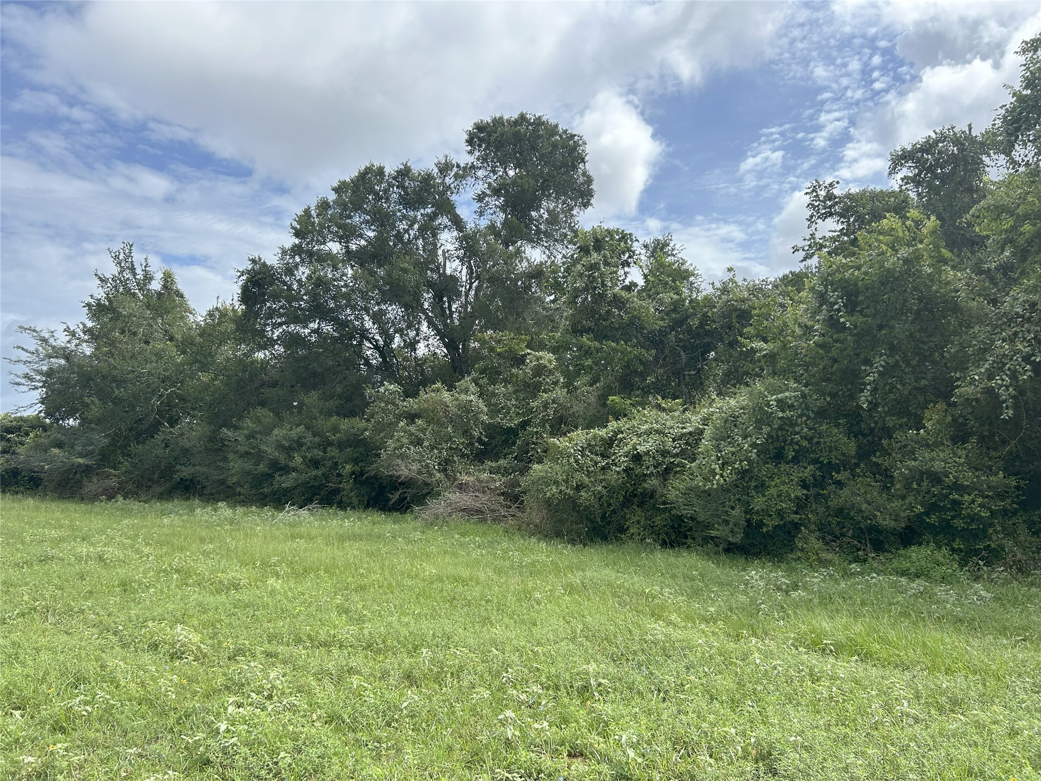 Tbd Holik Road Property Photo 23