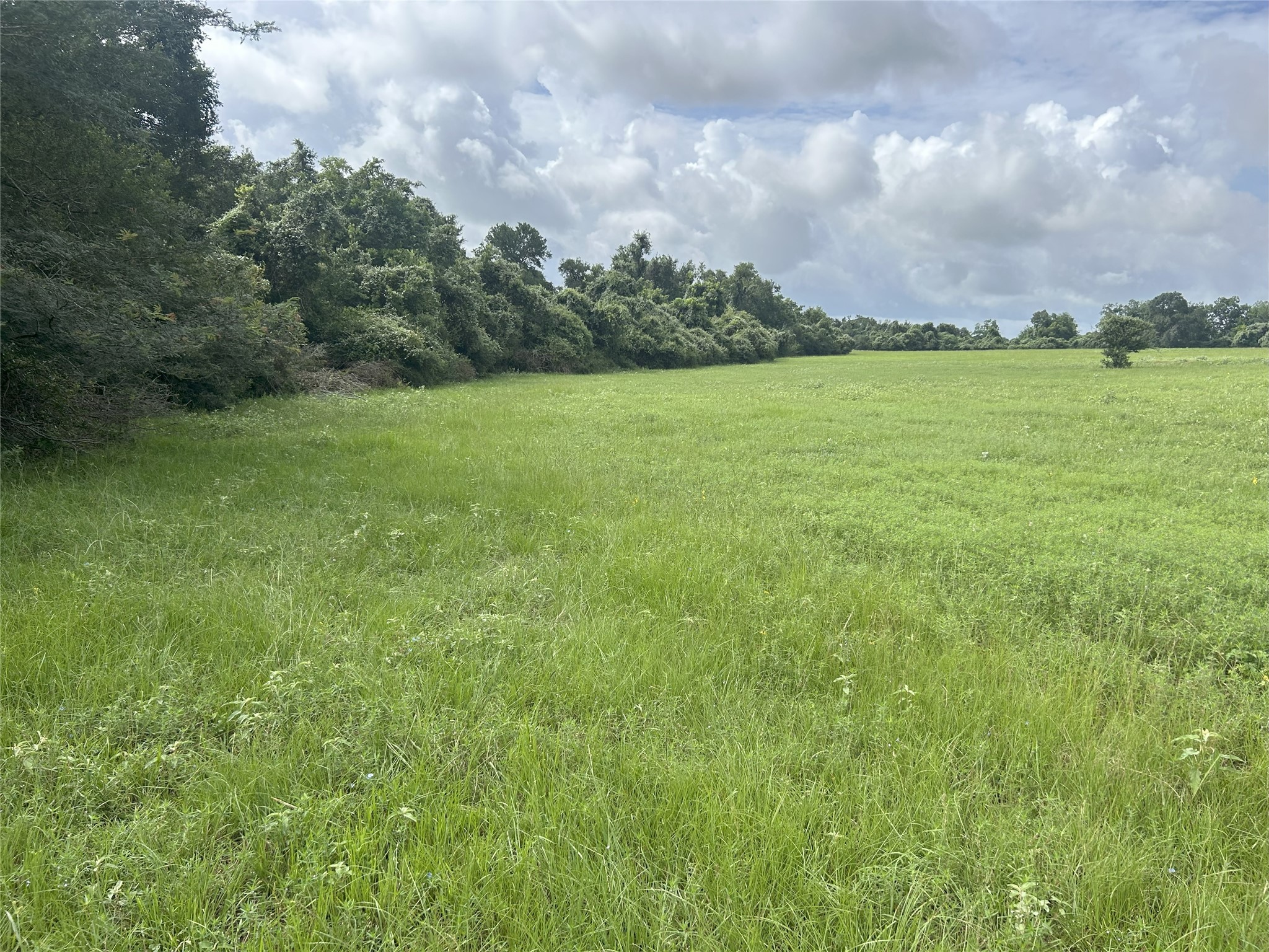 Tbd Holik Road Property Photo 24