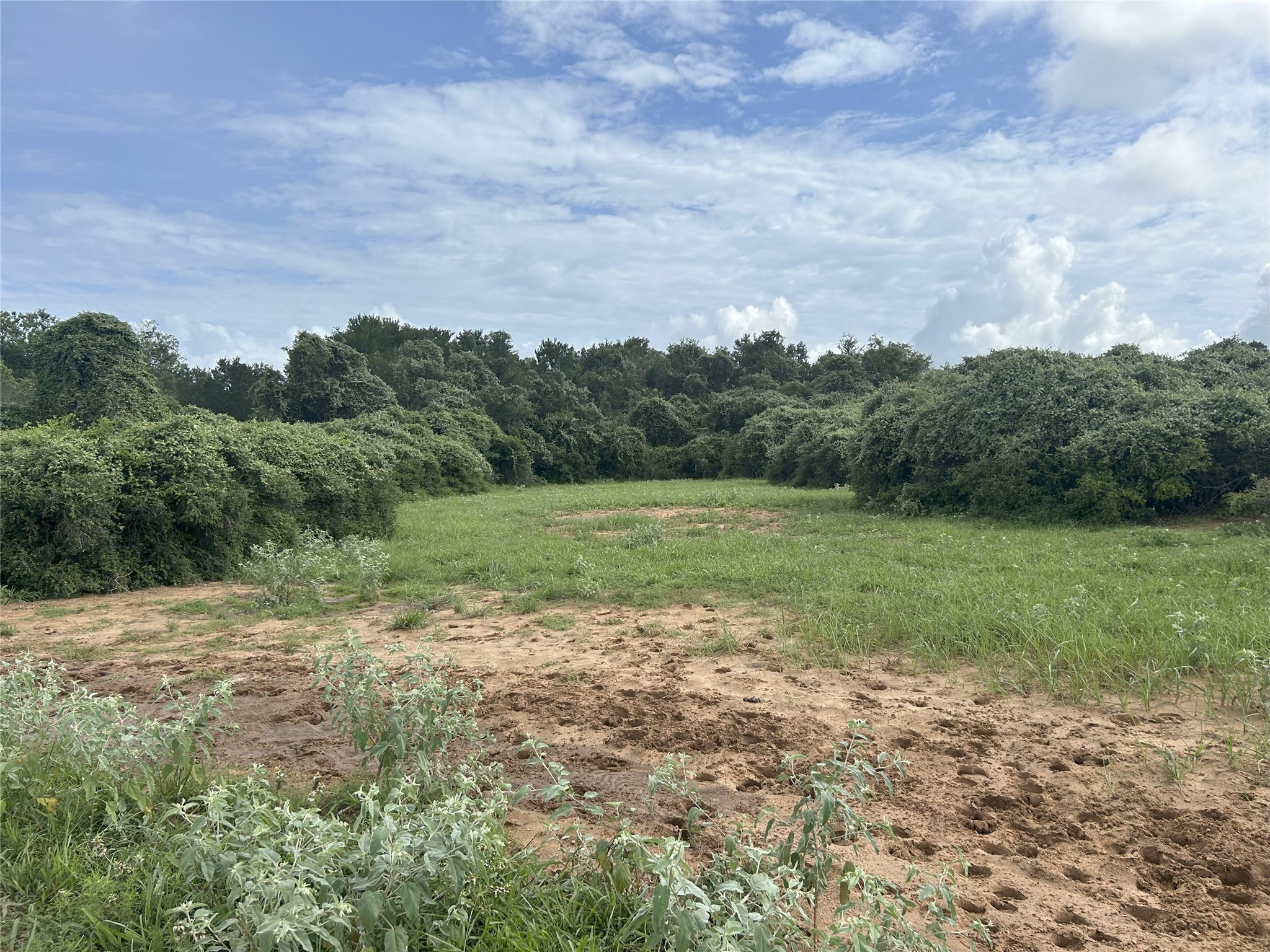 Tbd Holik Road Property Photo 26