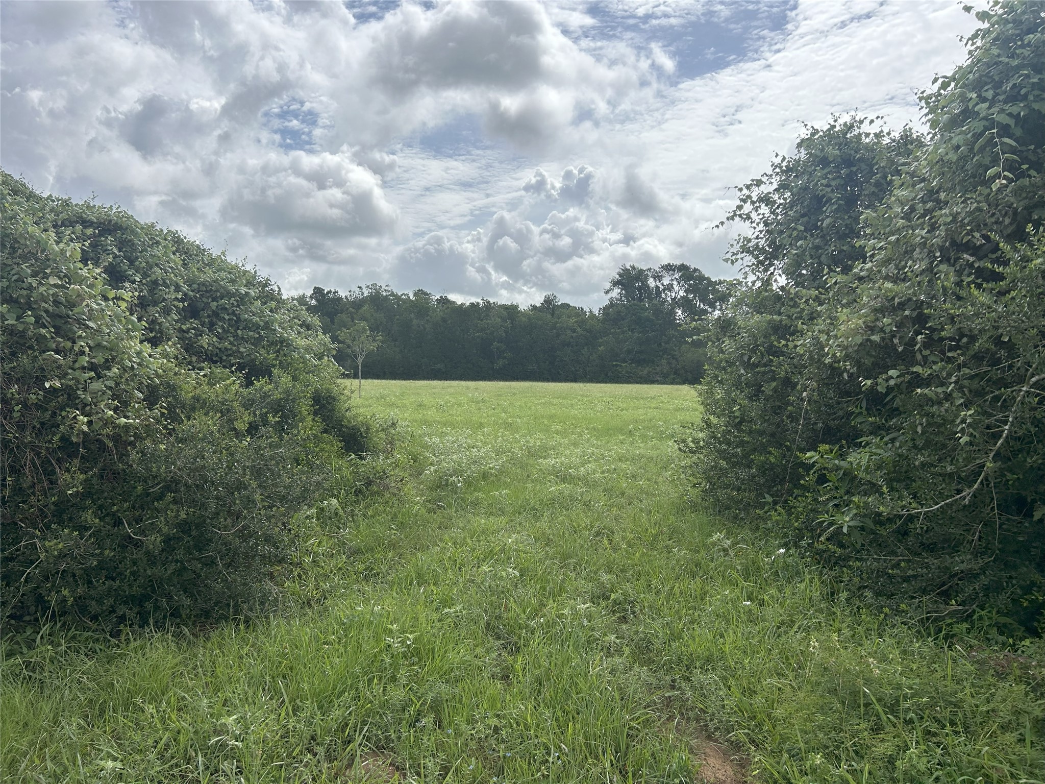 Tbd Holik Road Property Photo 27