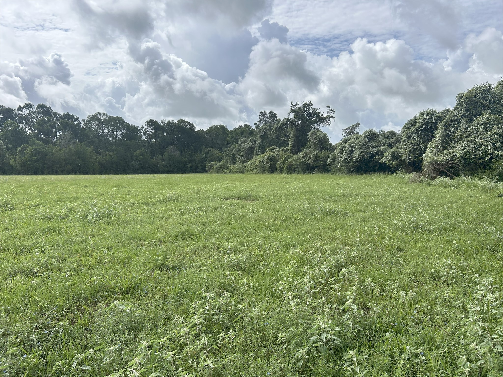 Tbd Holik Road Property Photo 28