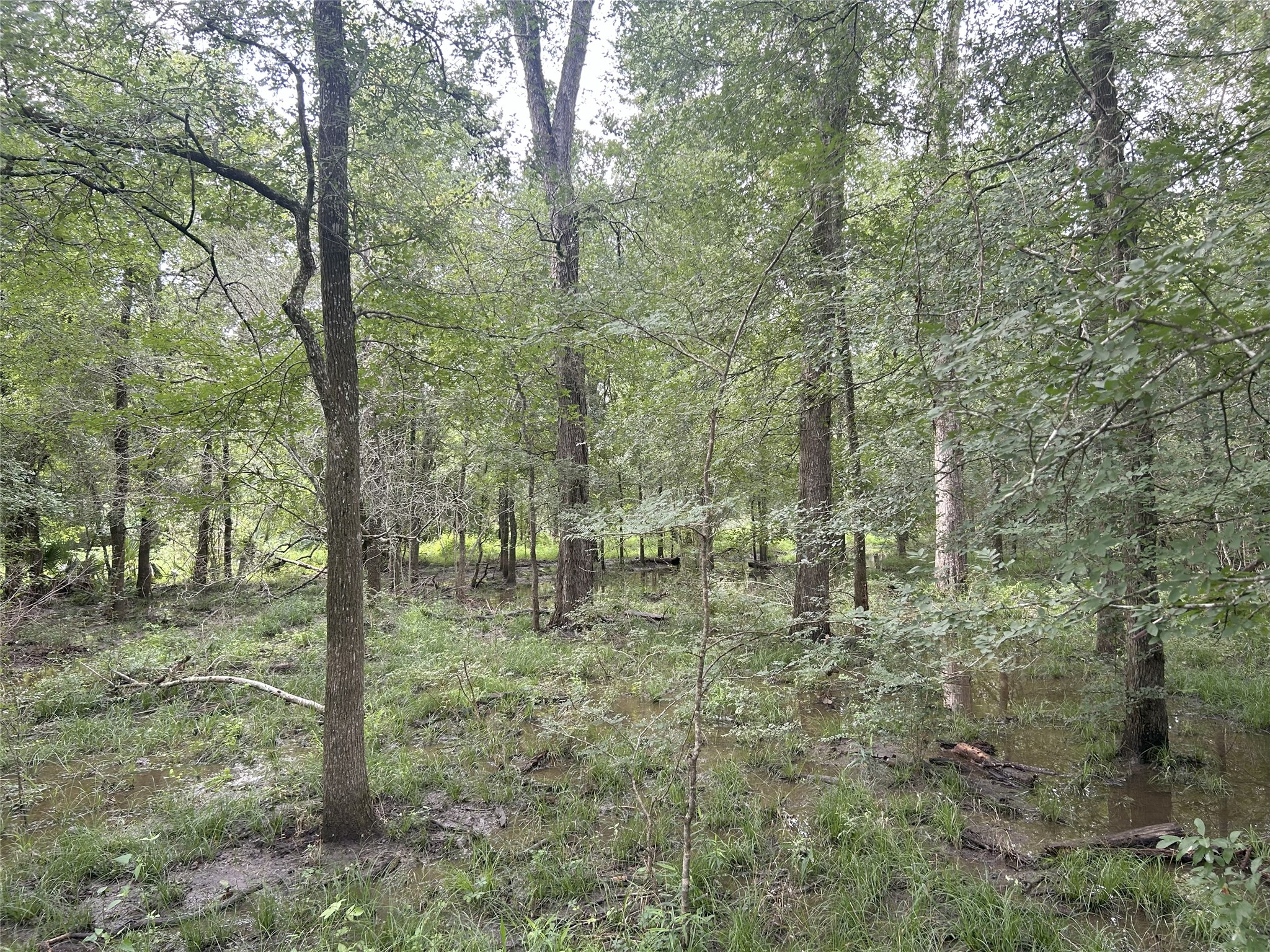 Tbd Holik Road Property Photo 32