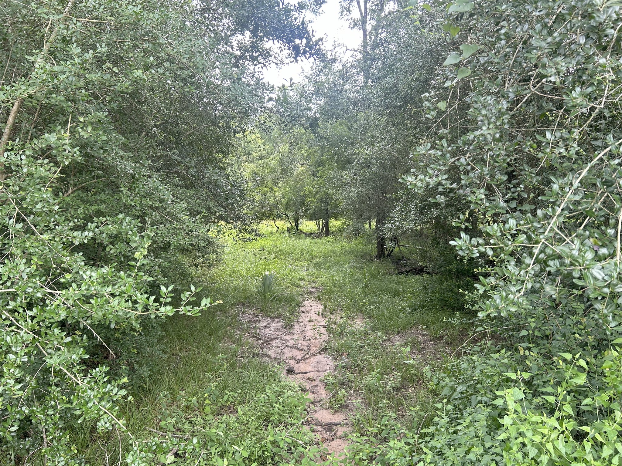 Tbd Holik Road Property Photo 38