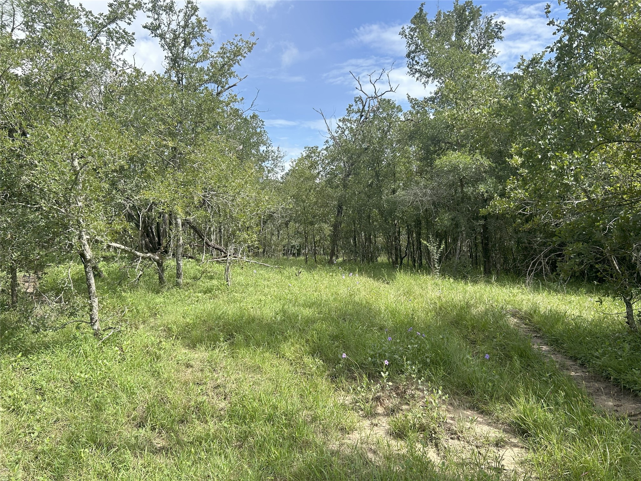 Tbd Holik Road Property Photo 39