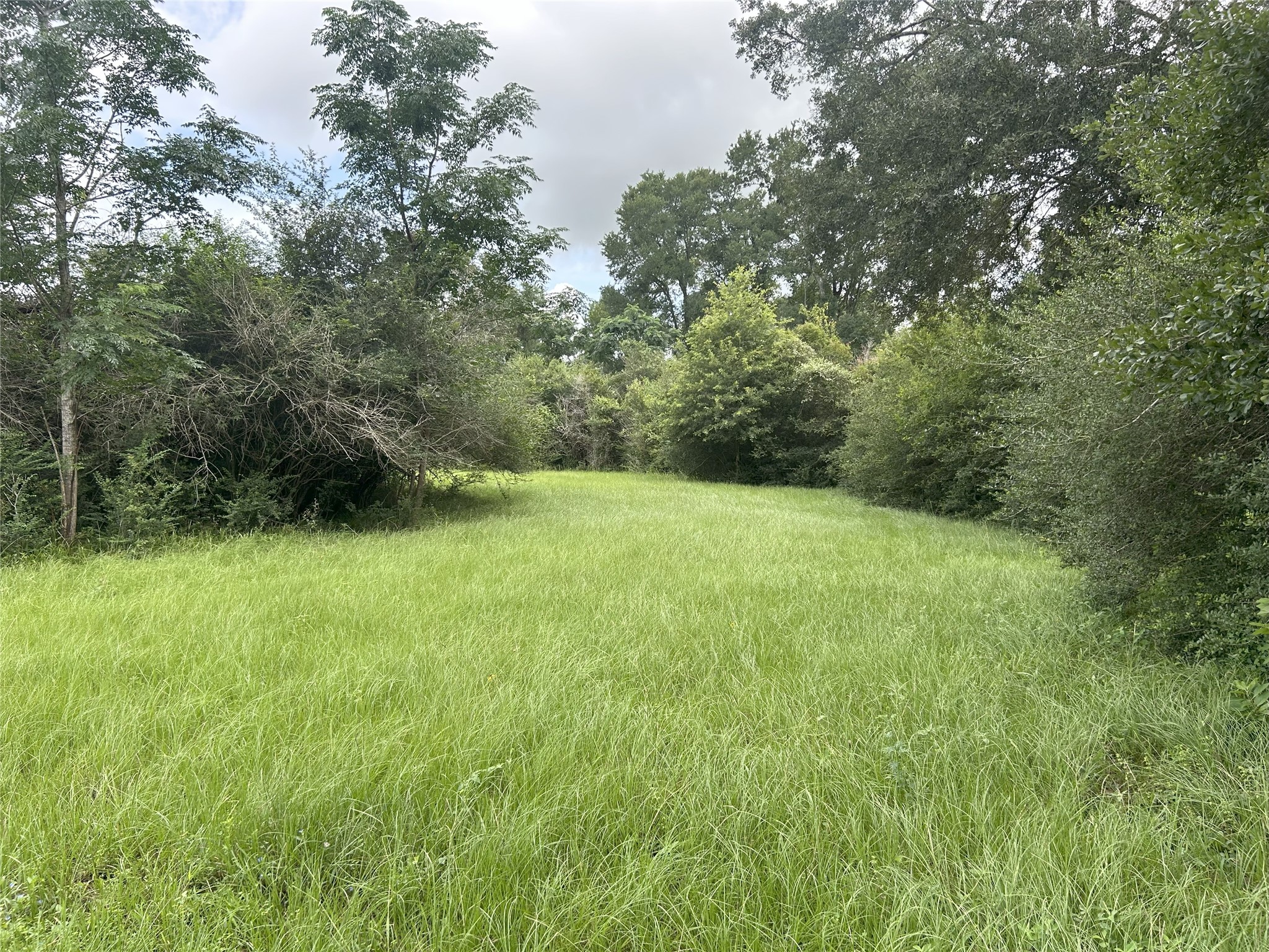 Tbd Holik Road Property Photo 41