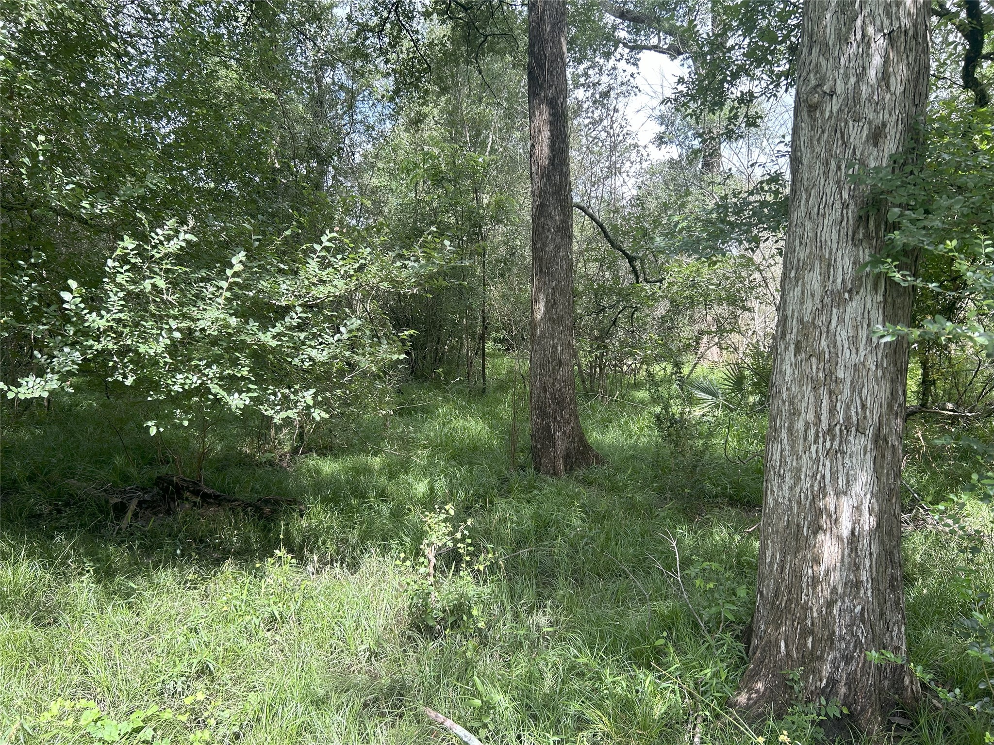 Tbd Holik Road Property Photo 42