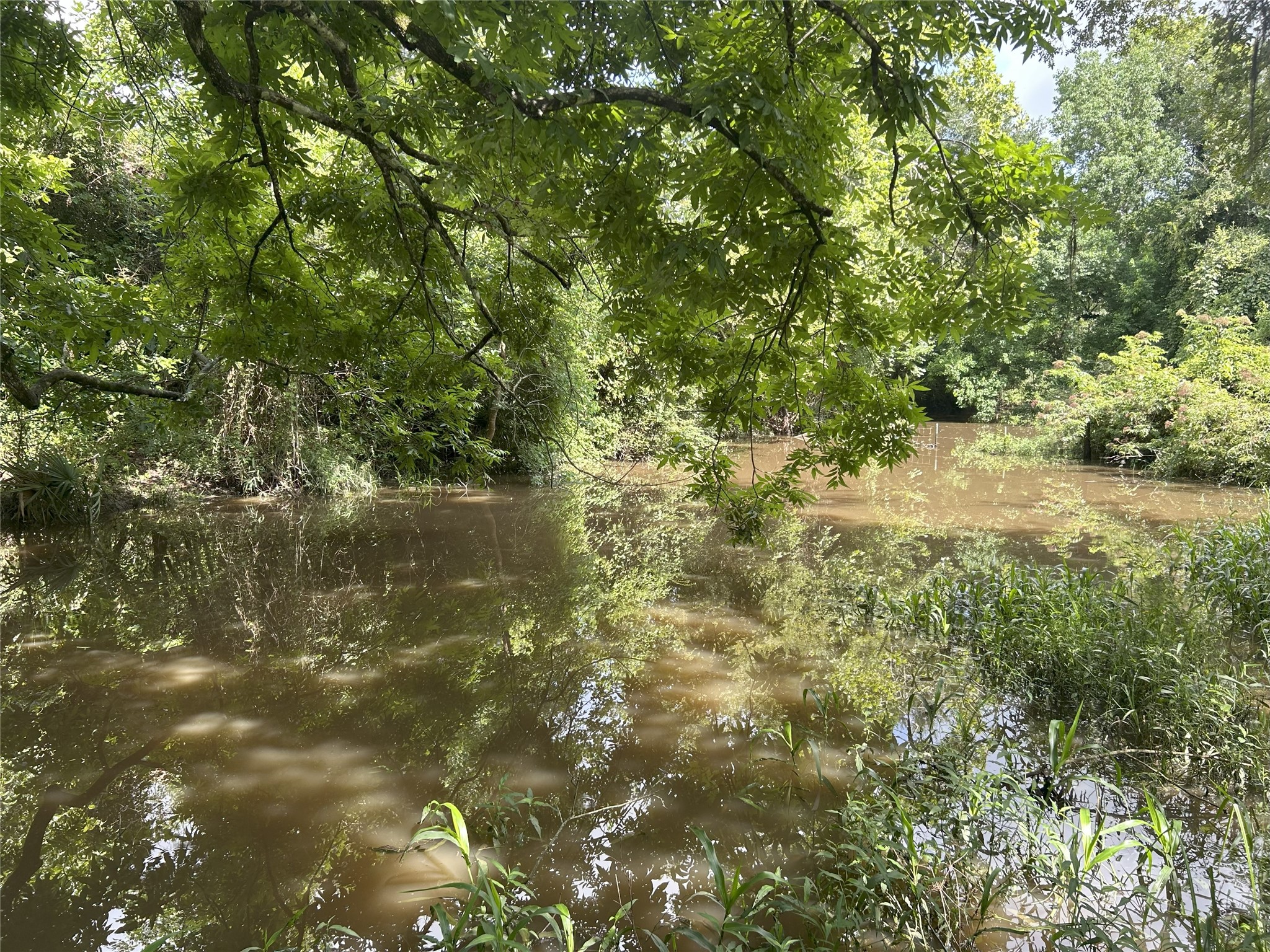 Tbd Holik Road Property Photo 45