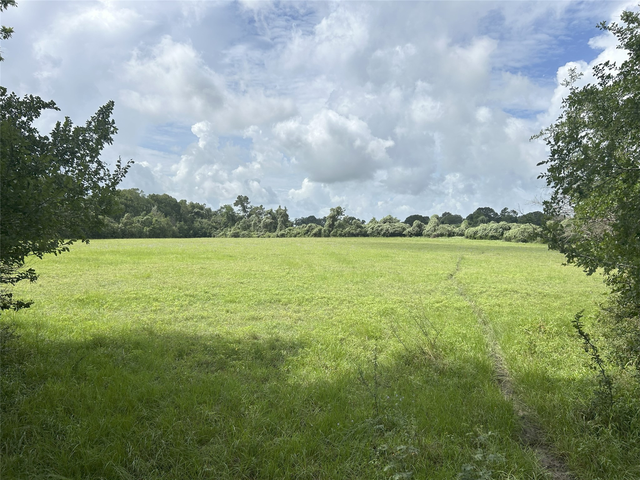 Tbd Holik Road Property Photo 50