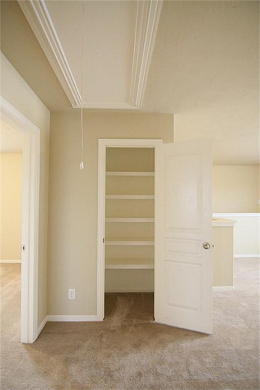 18206 Canary Bluff Property Photo 15