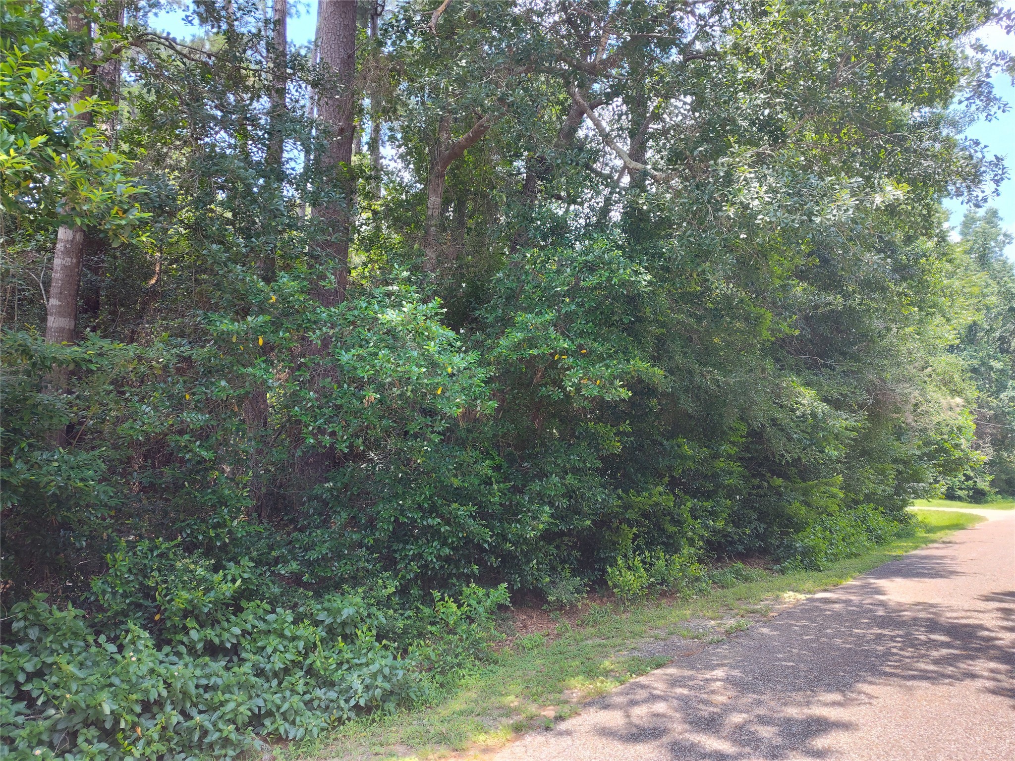 Tbd Rollingwood Loop Property Photo 3