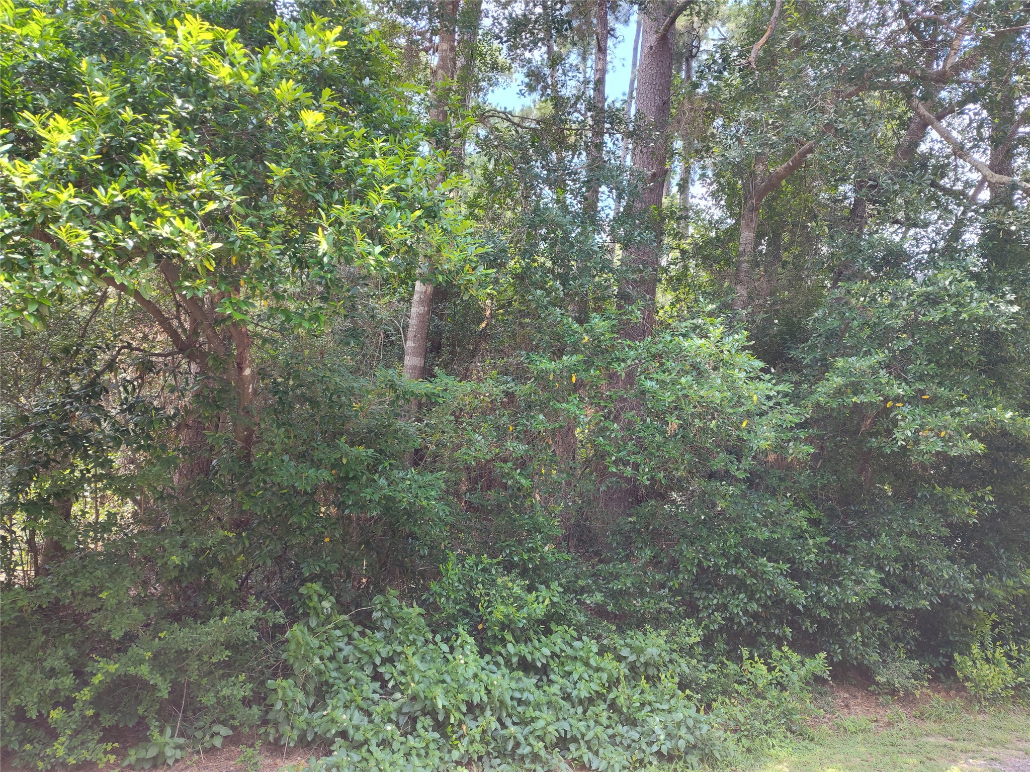 Tbd Rollingwood Loop Property Photo 4