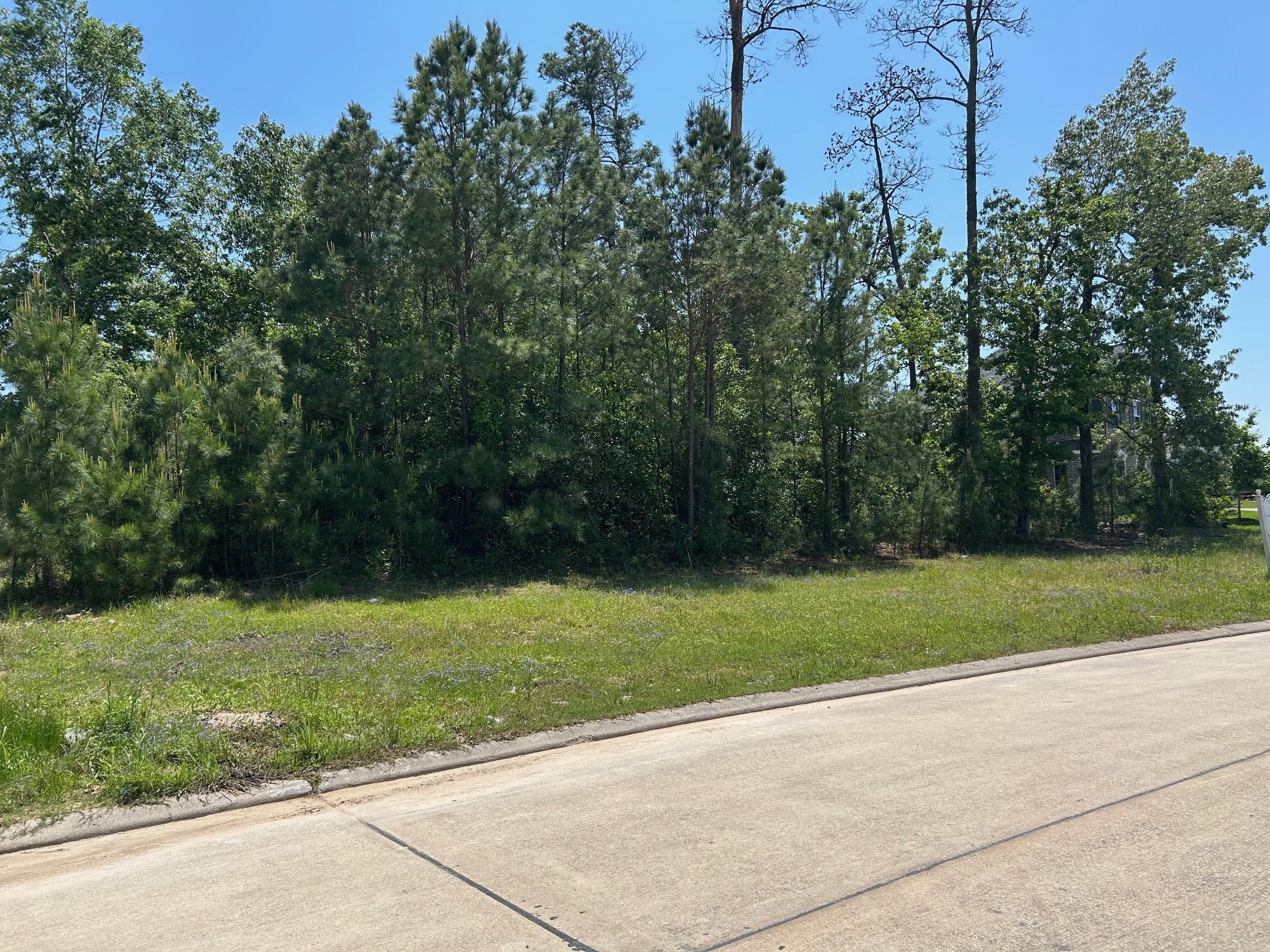 121 Kings Lake Estates Boulevard Property Photo 2